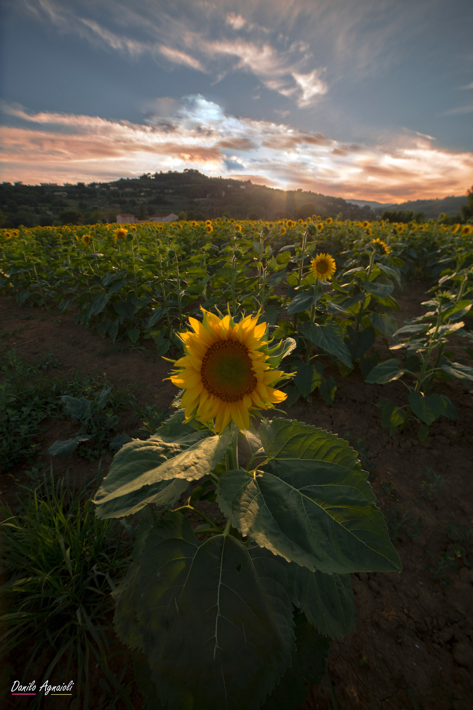Tramonto spensierato.