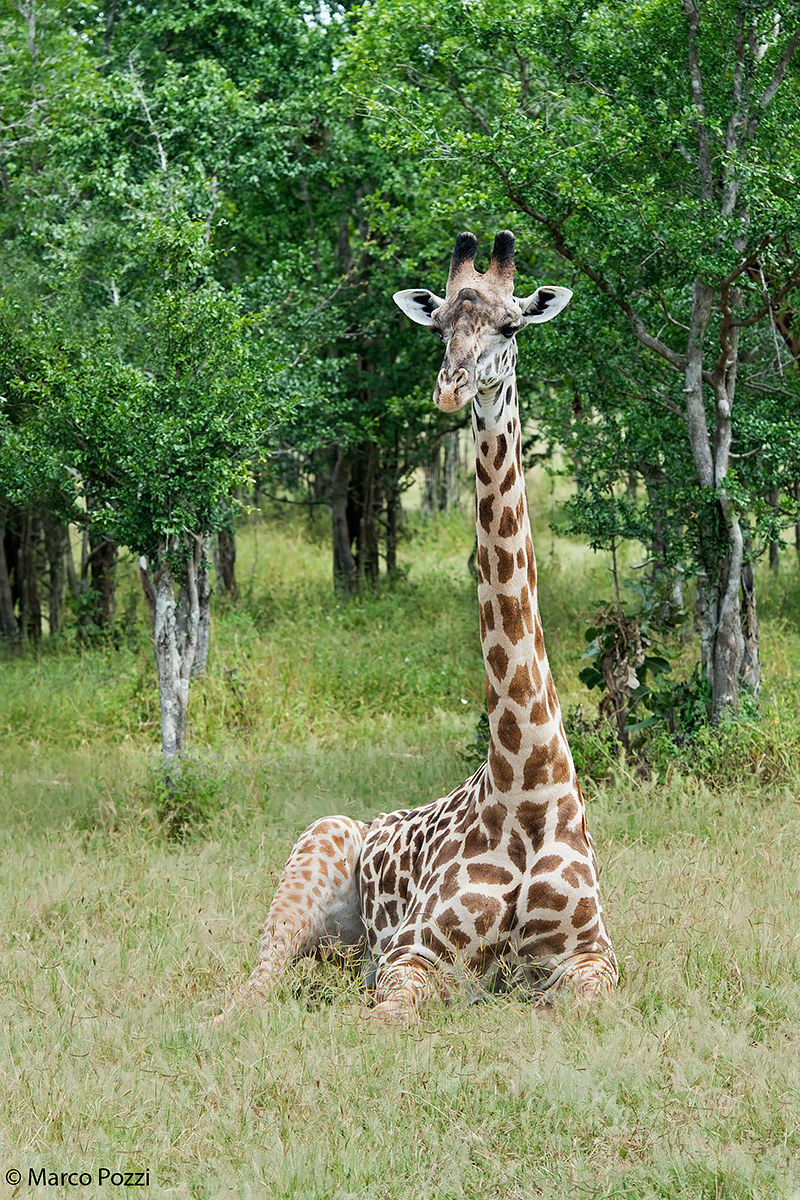 Seduta..sono even taller than you !!