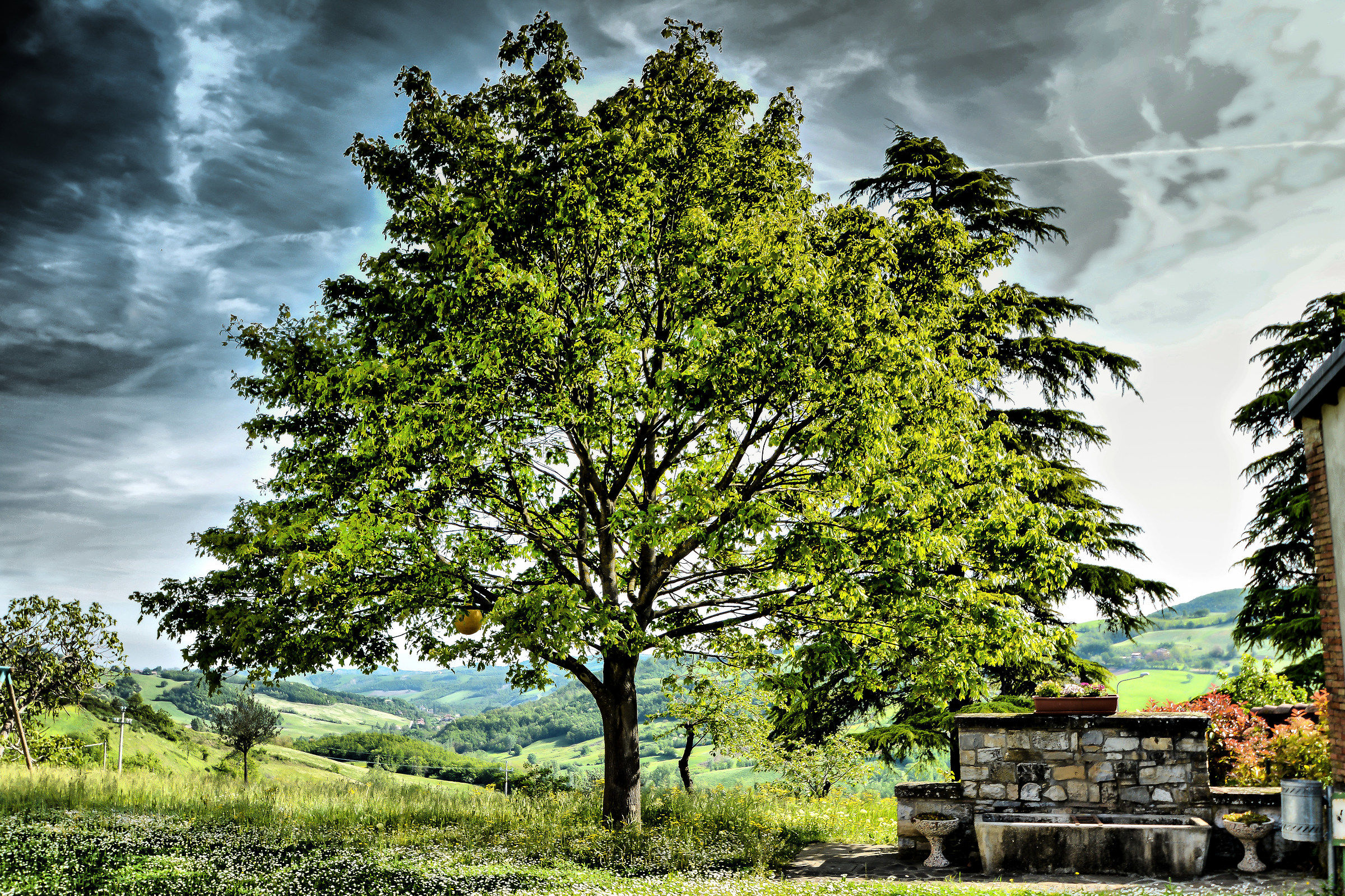 Only a fruit (but giant)