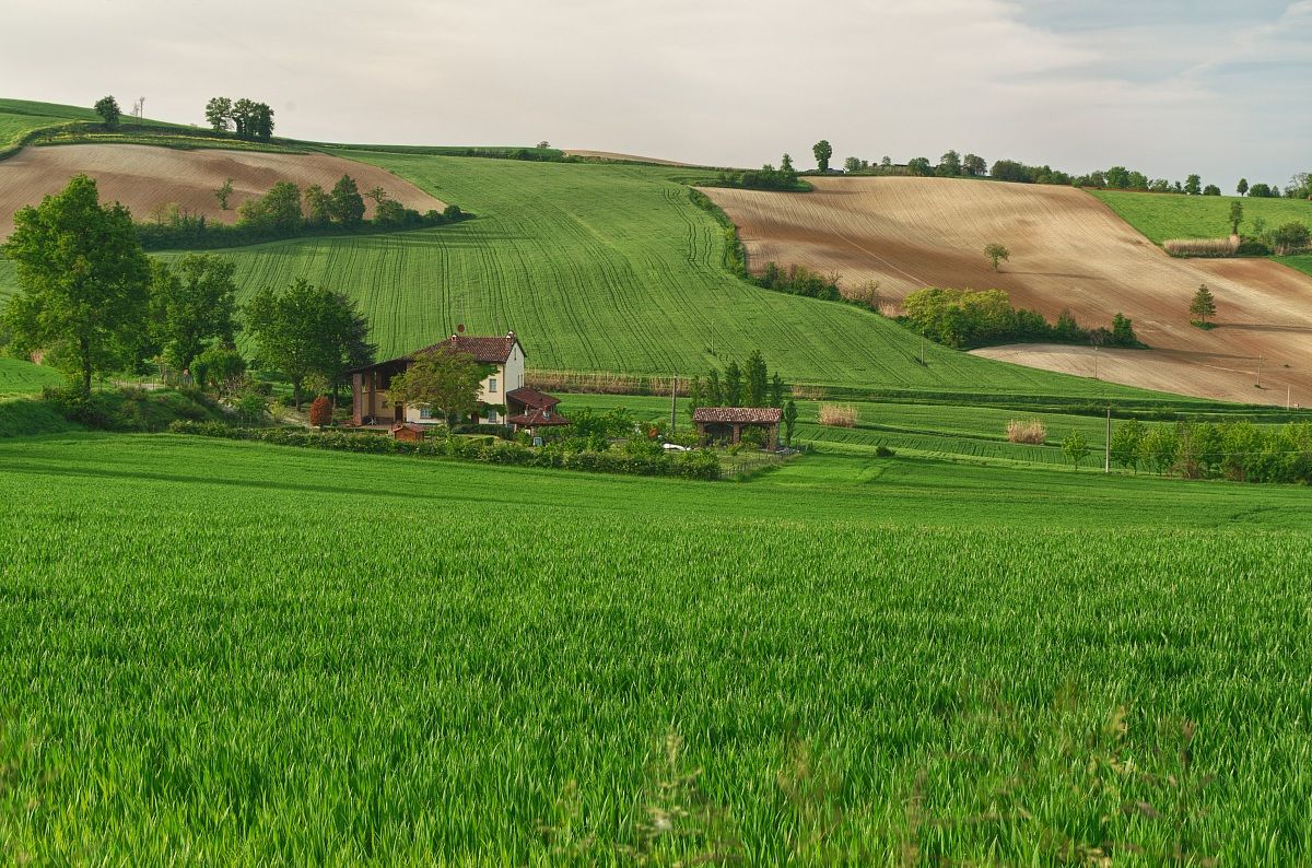 Hills Montecastello (al)