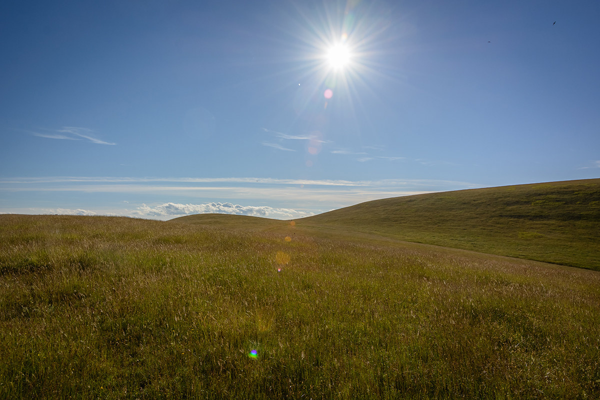 The sun is shining over the fields