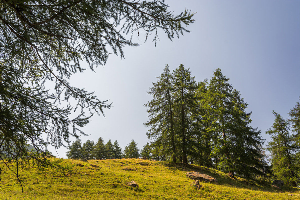 Naturae park Orsiera-Rocciavrè