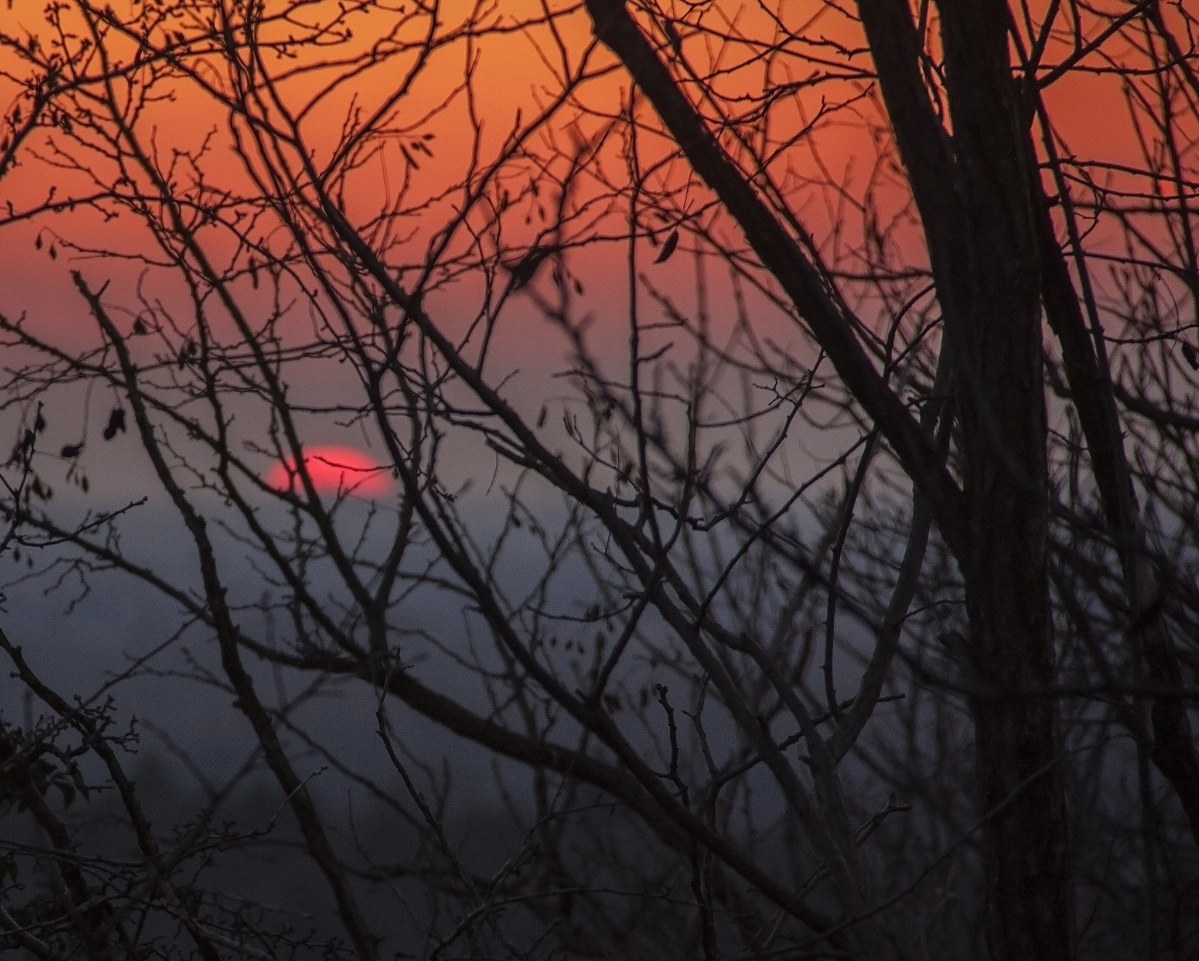 ... I do not remember at what horizon sfumasse light ...