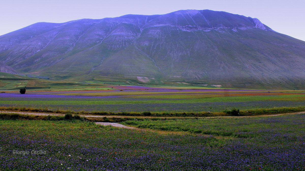 Alba under the Carrier