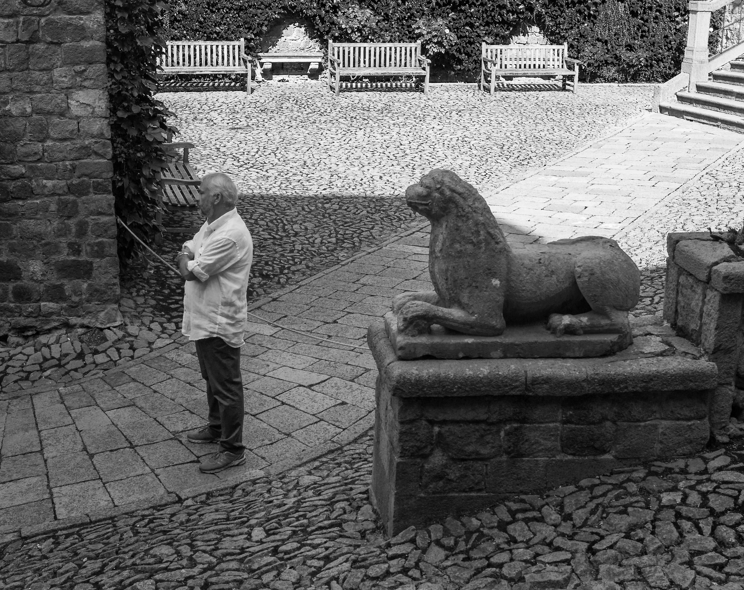 Attento! Hai un leone alle spalle...