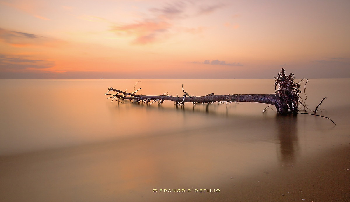 Magic moments of dawn ...