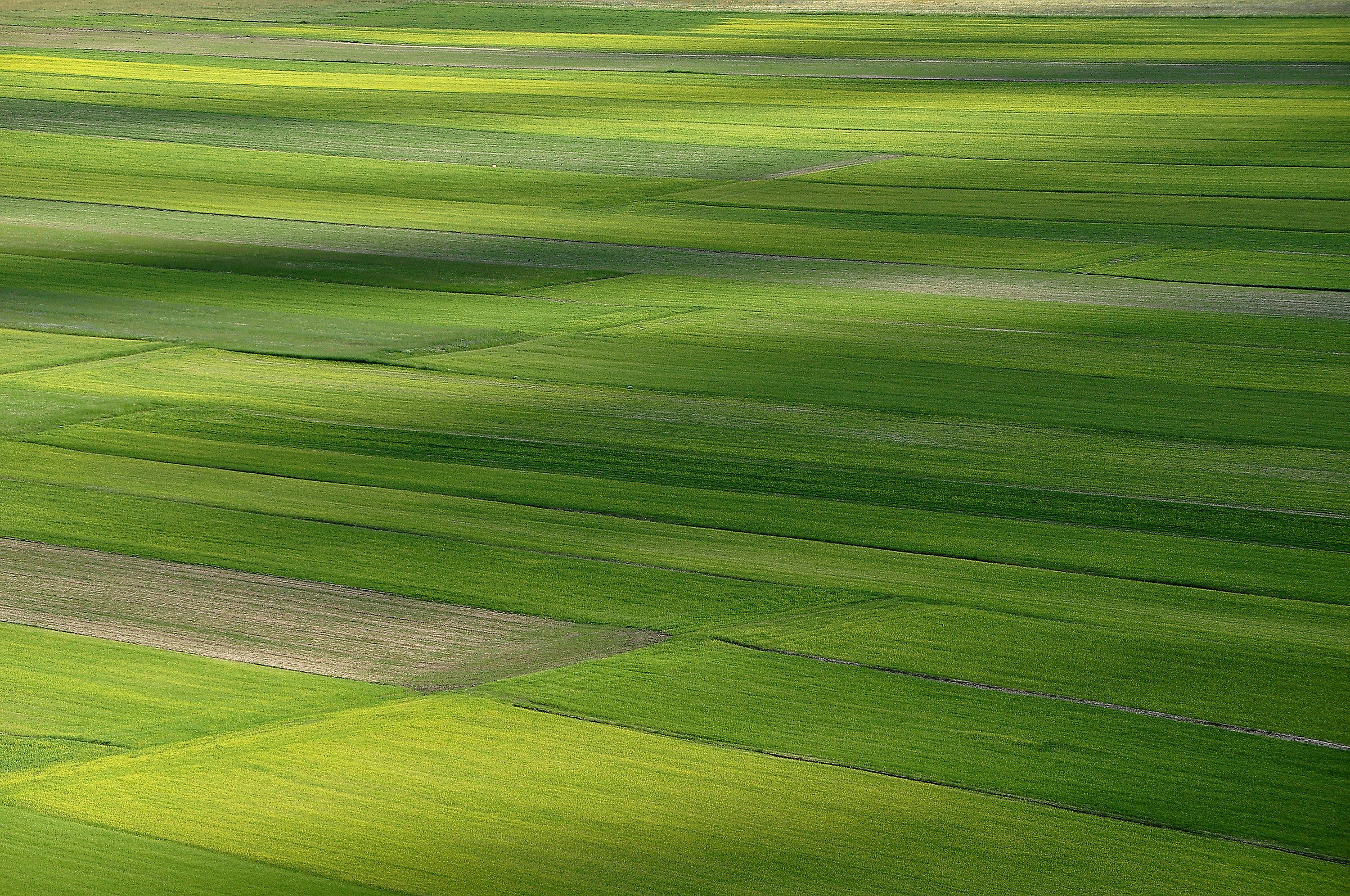 50 sfumature di verde