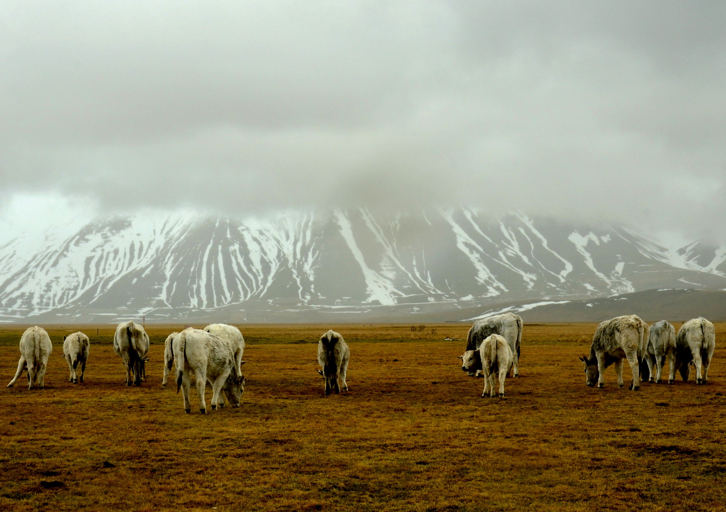 Castelluccio in the winter / 01