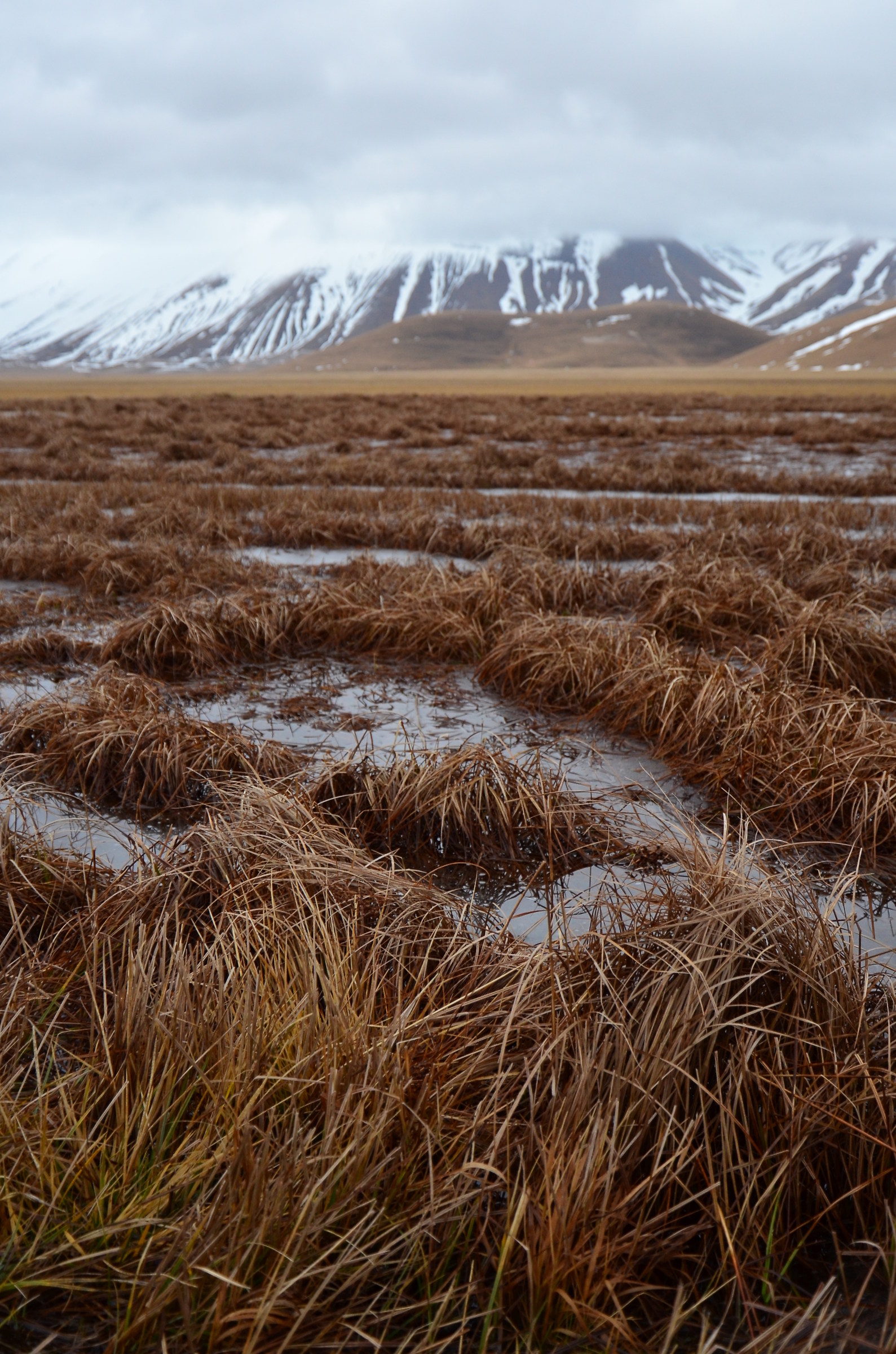 Castelluccio in the winter / 02