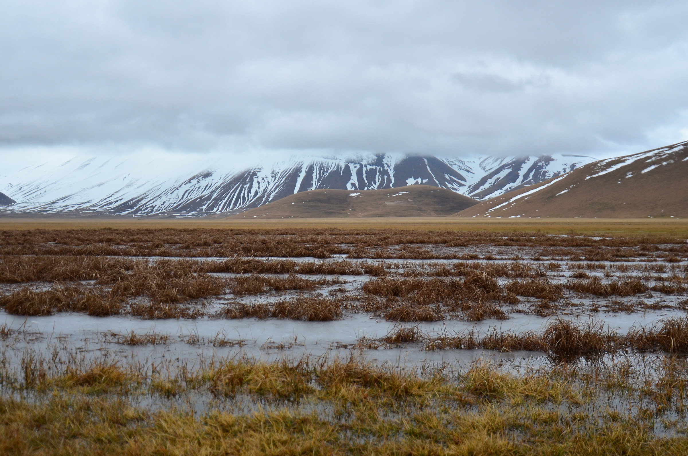 Plain of Castelluccio in early spring