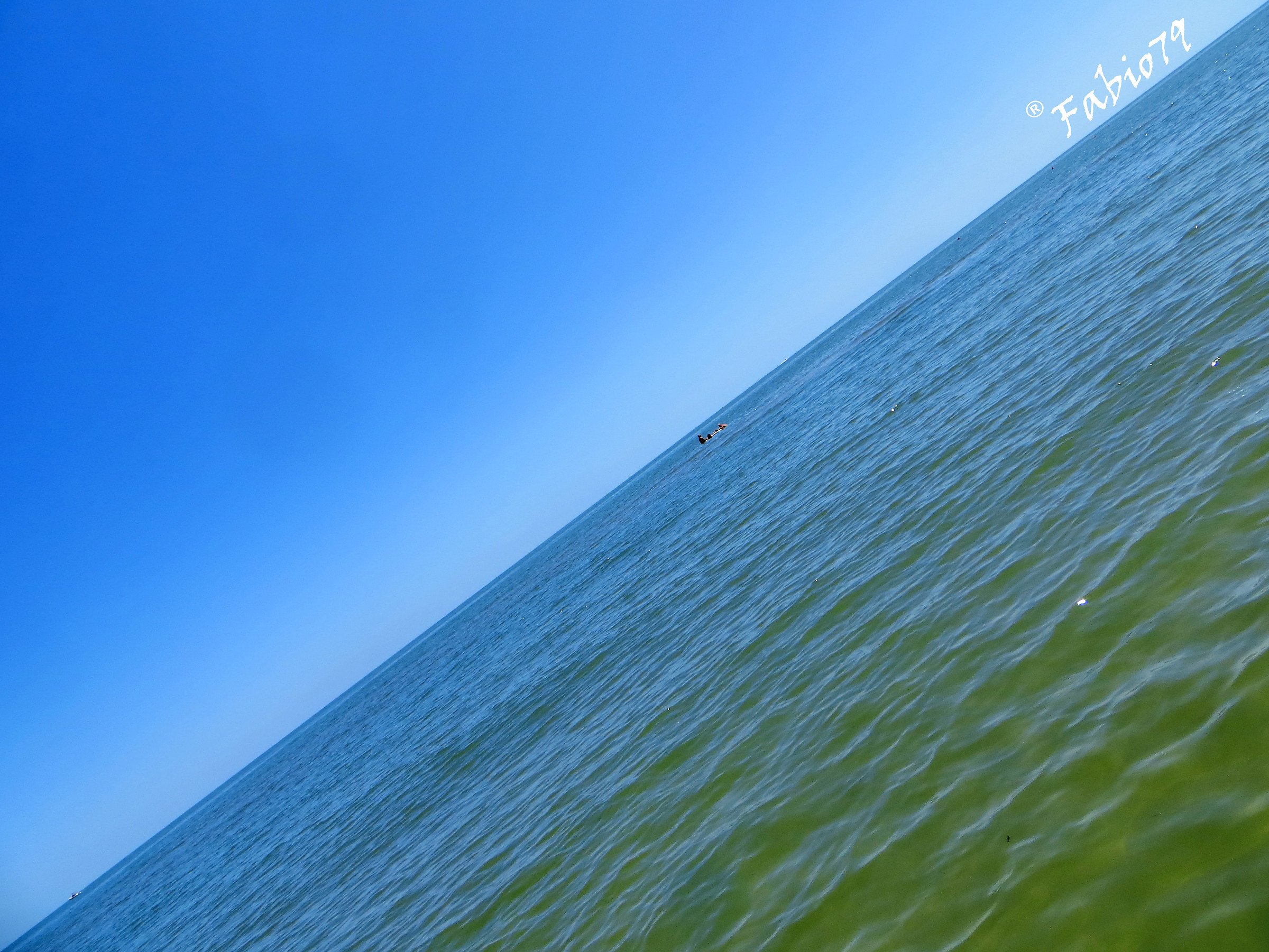 Specchio delle mie brame