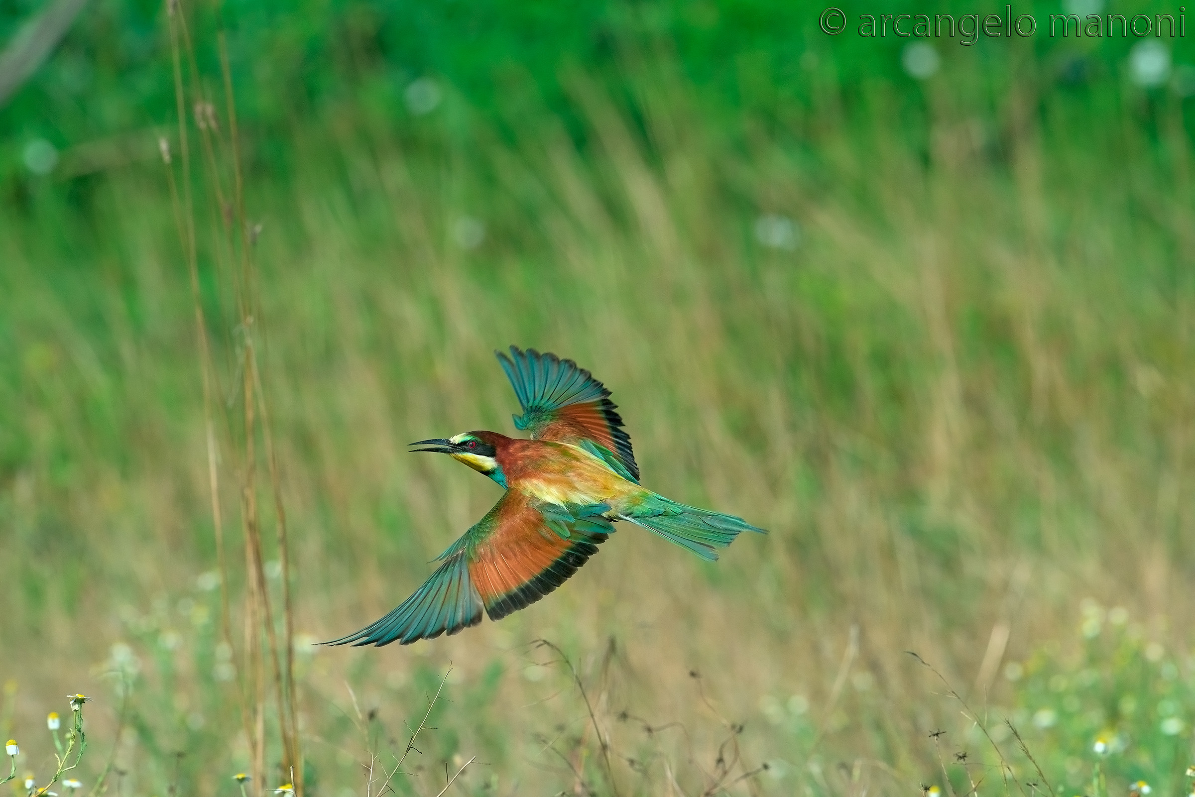 Volo di ricognizione