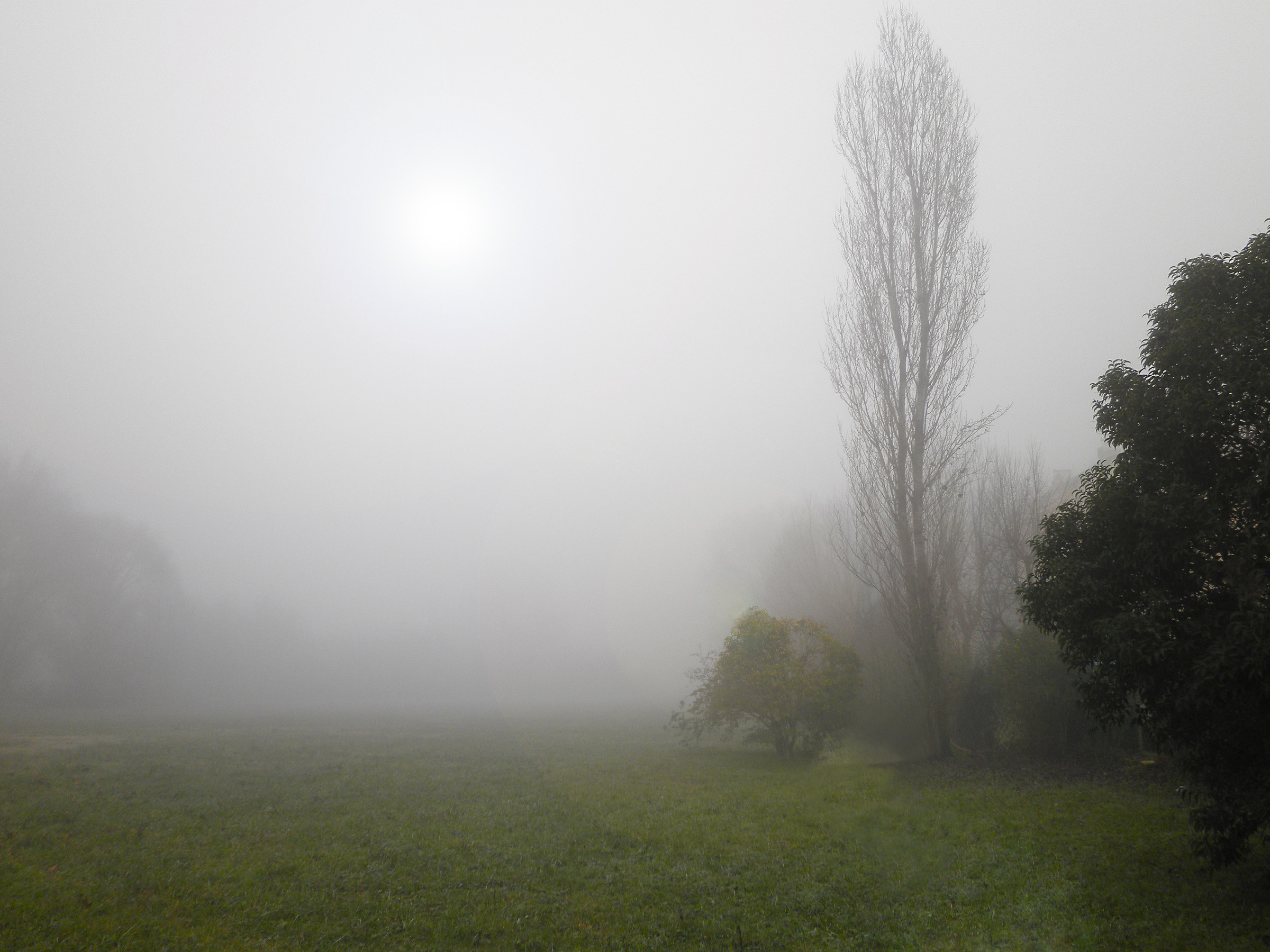 fog in the Po Valley