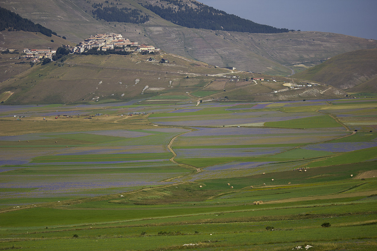 Castelluccio di Norcia (Umbria)