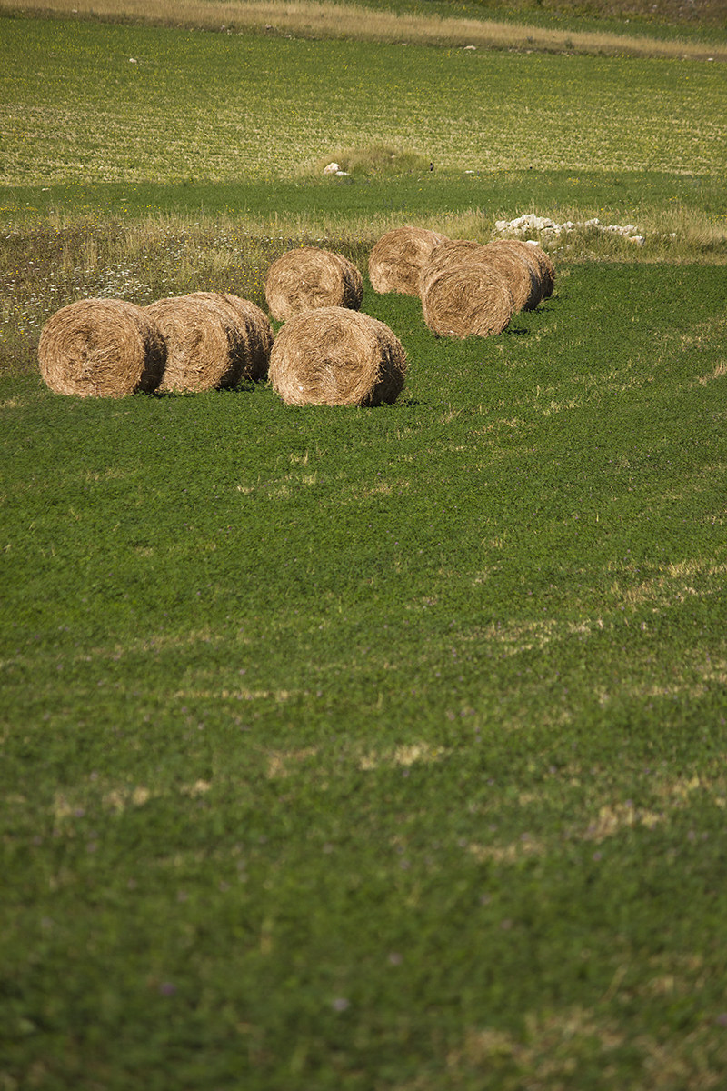 Castelluccio di Norcia (Umbria)