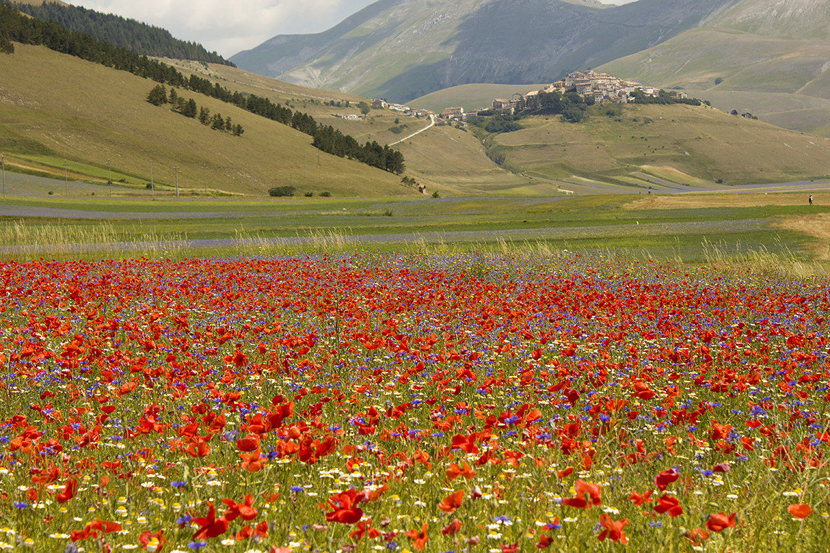Castelluccio di Norcia (Umbria)