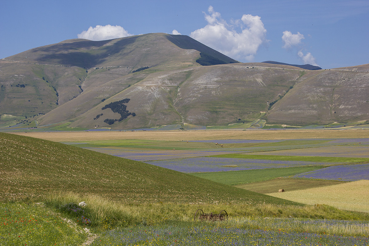 Castelluccio di Norcia (Umbria)