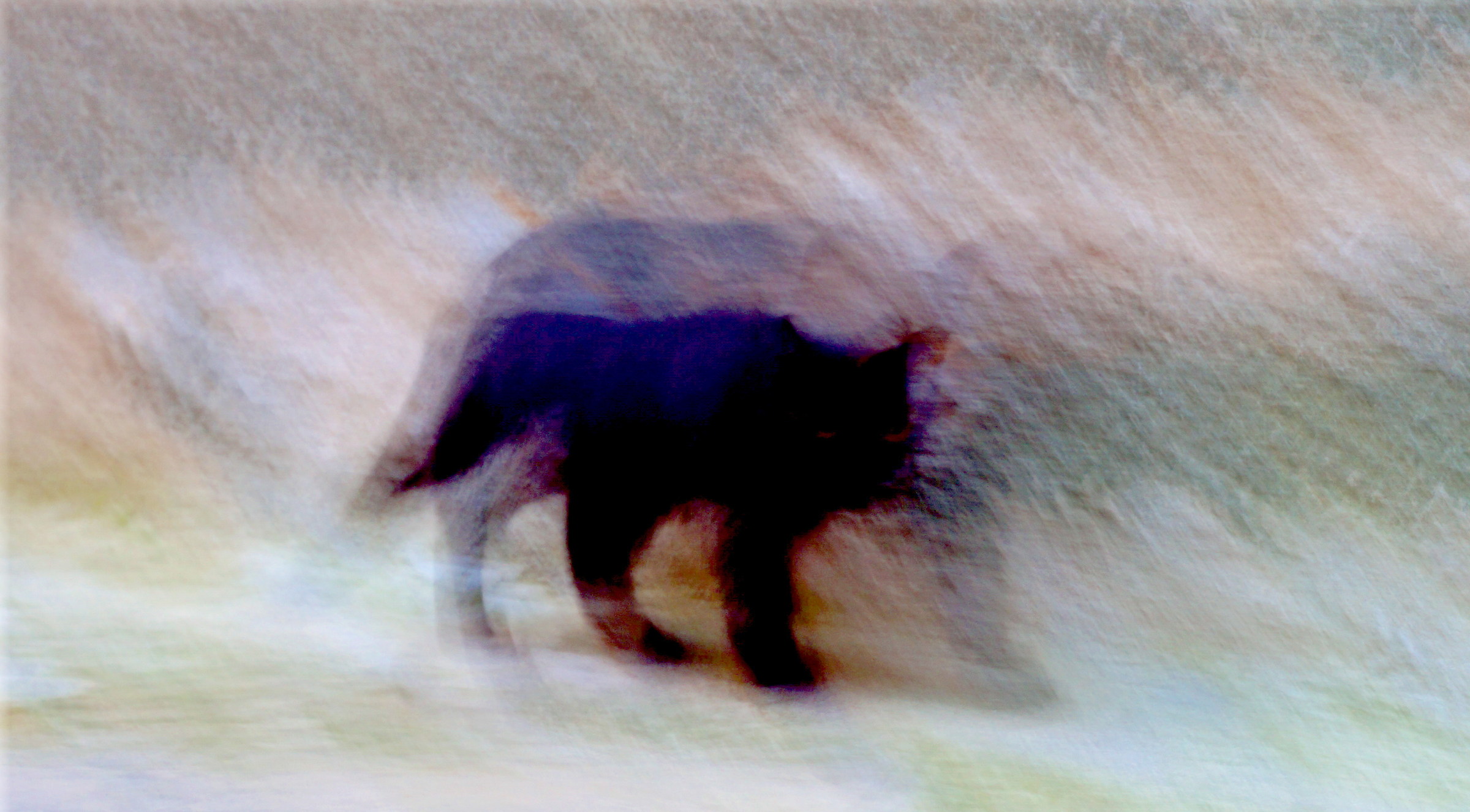 Come un sogno inquietante