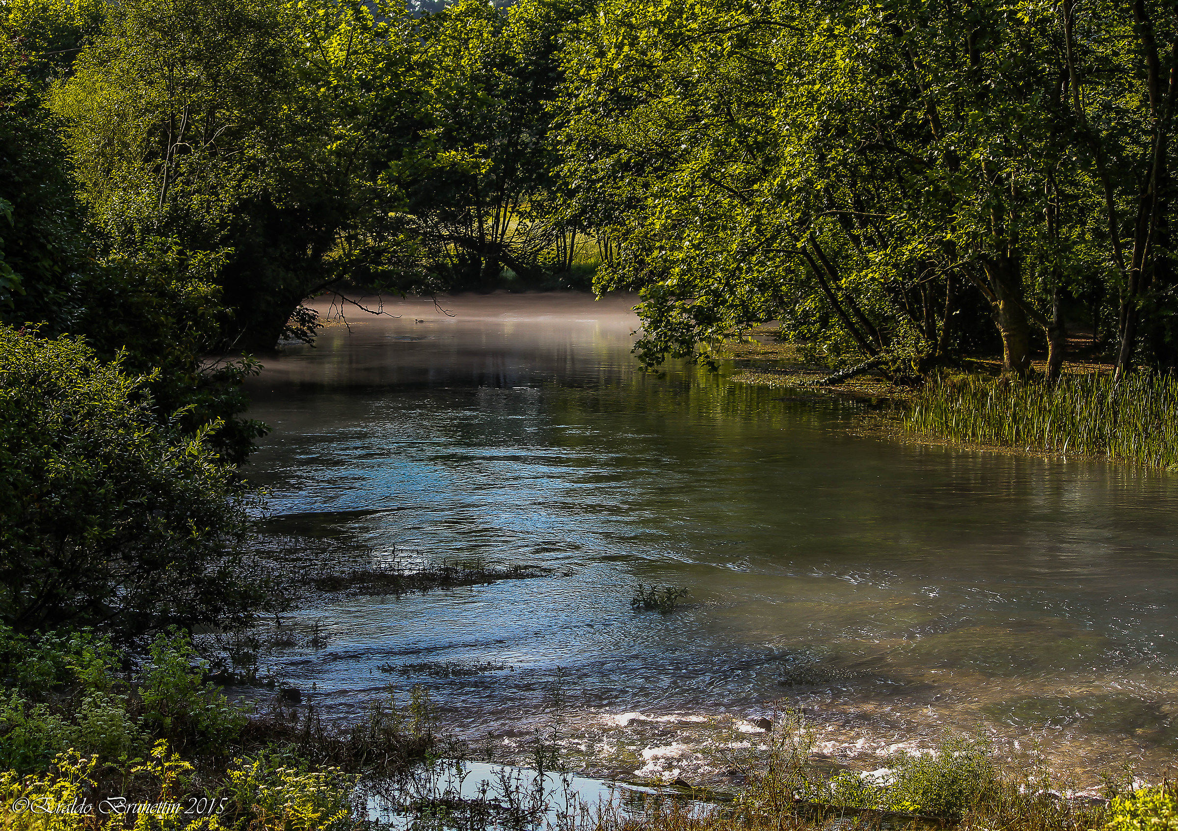 Terapia contro il caldo.