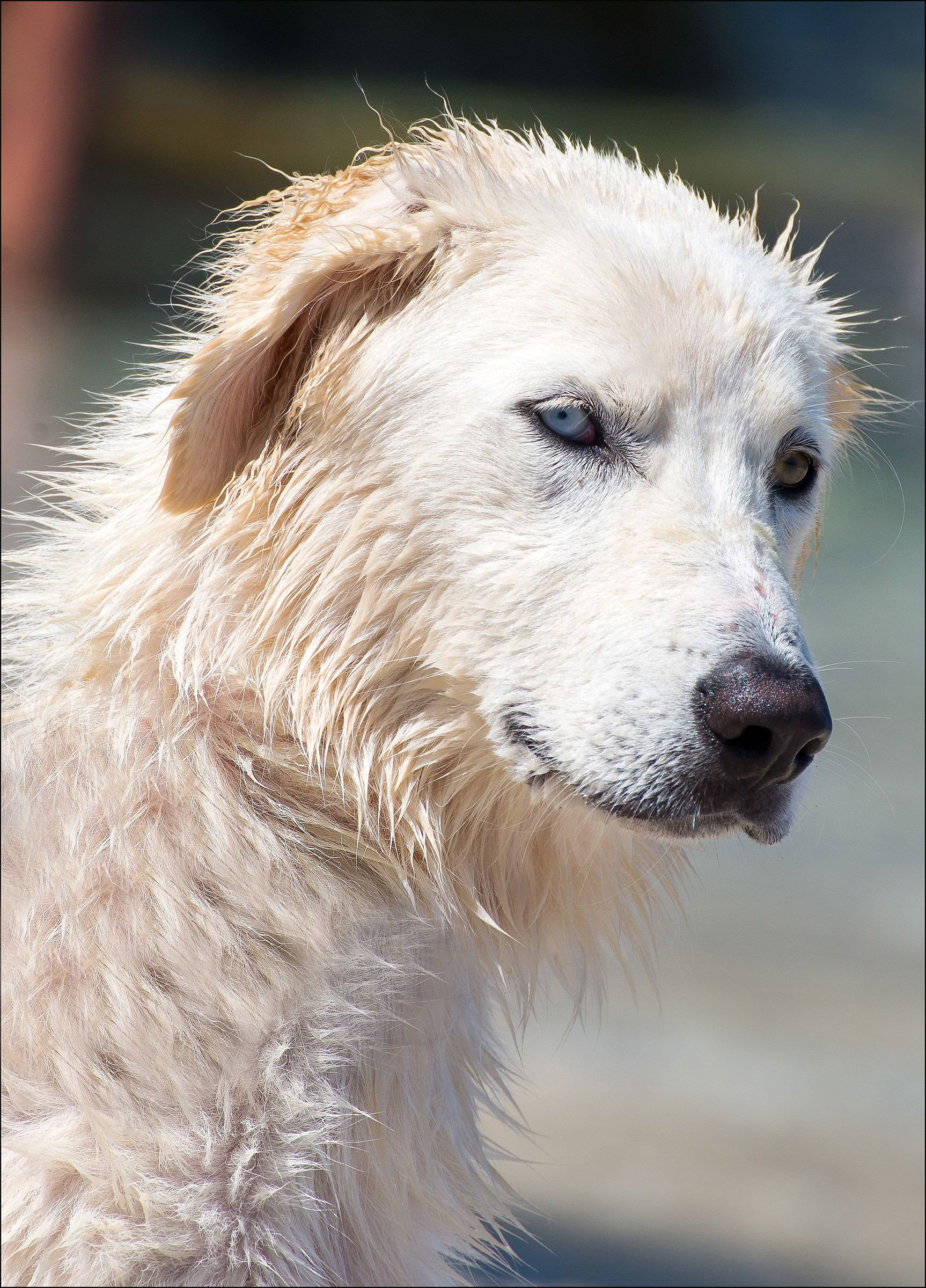 Noi, belli perchè diversi..