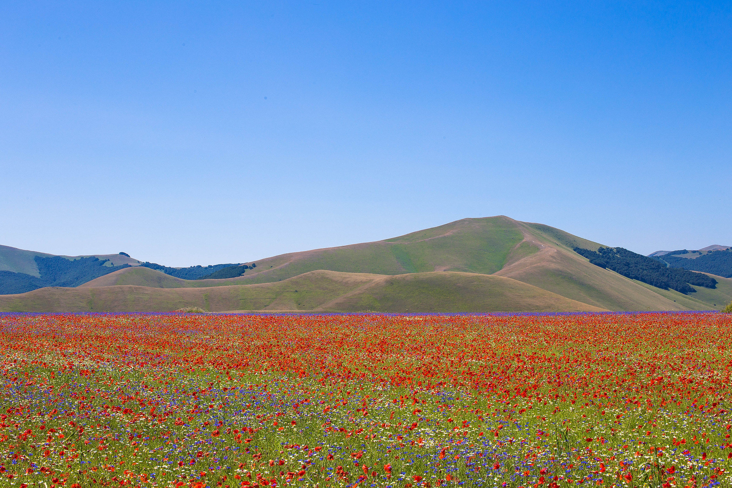 Castelluccio 4