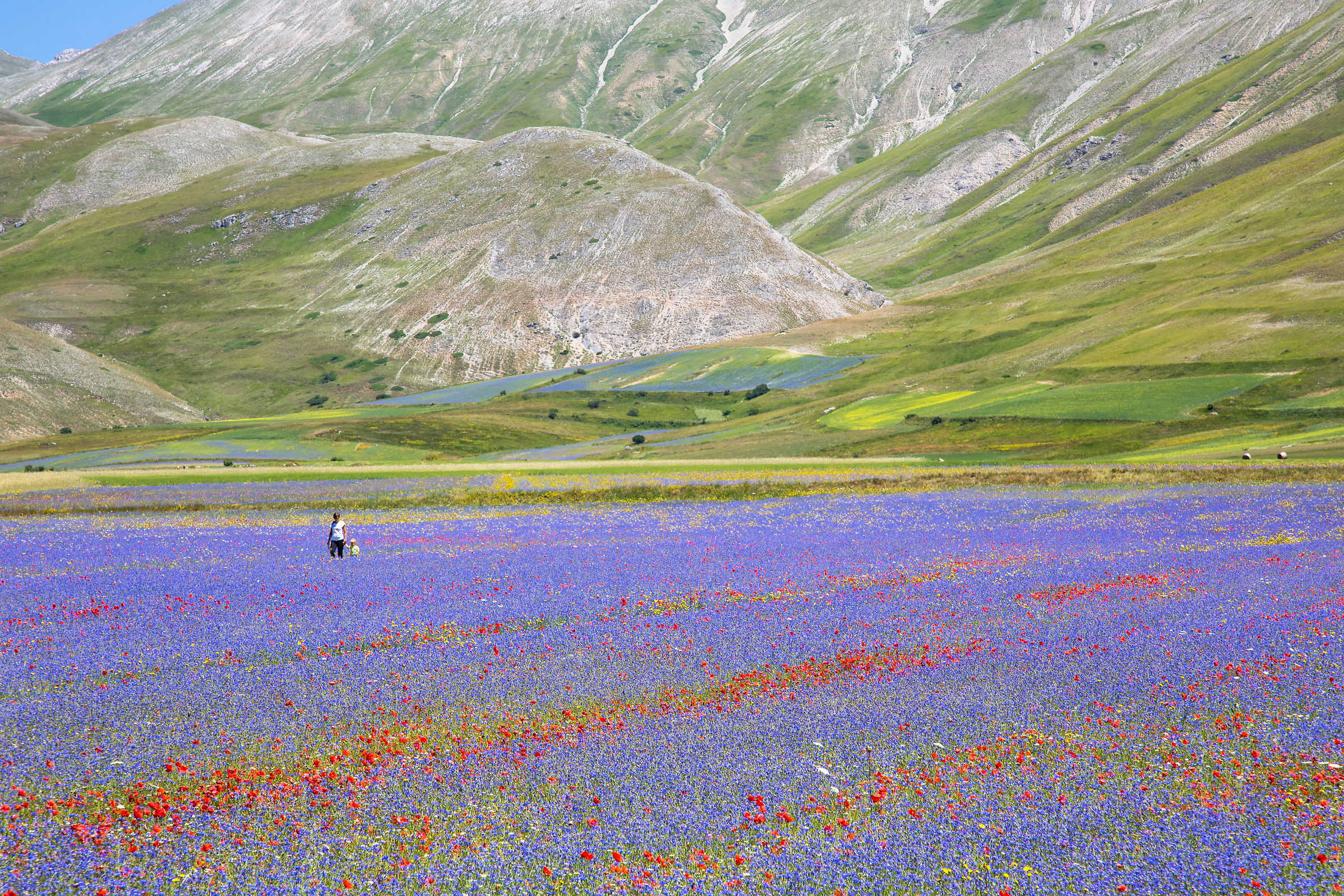 Castelluccio 6