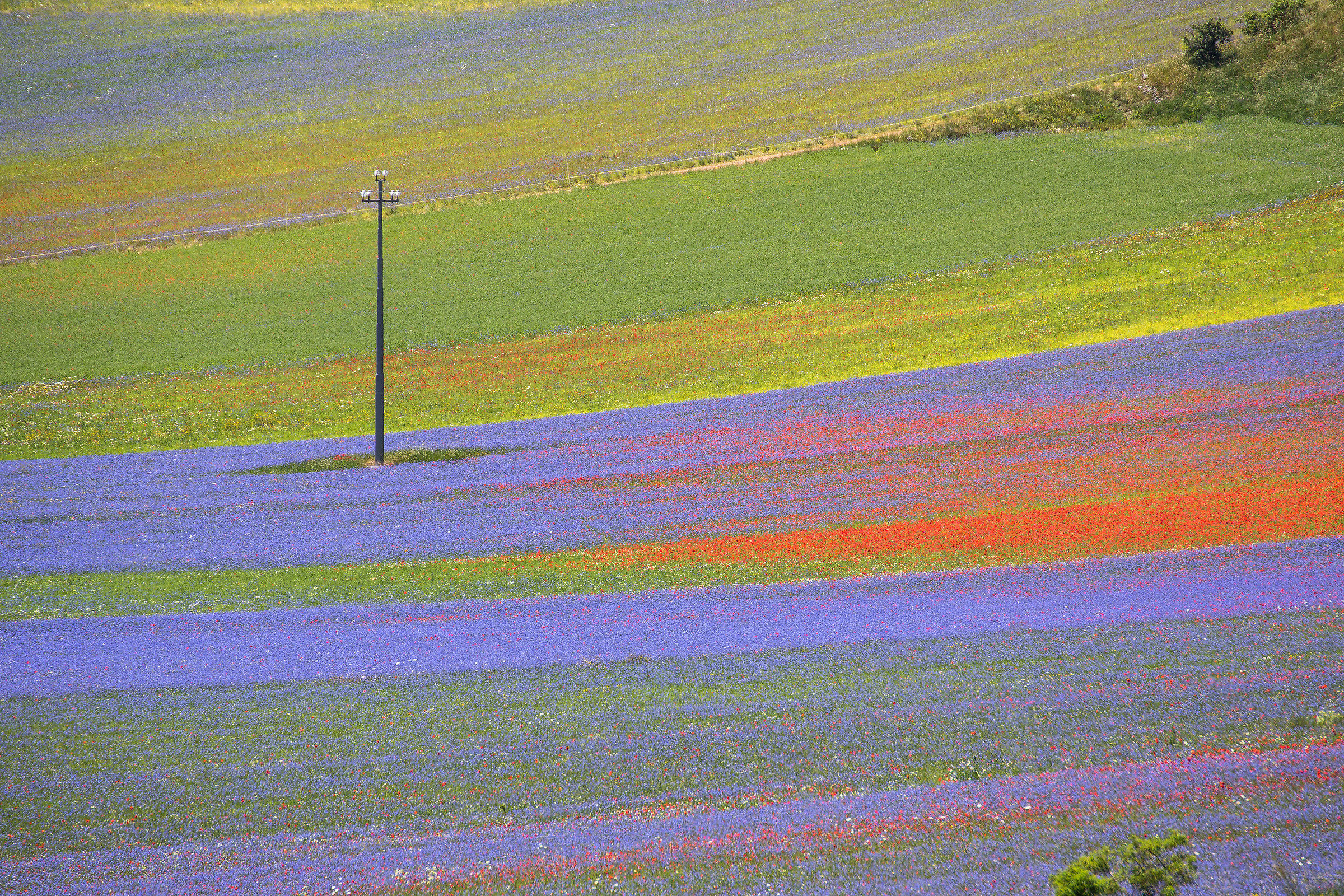 Castelluccio 8