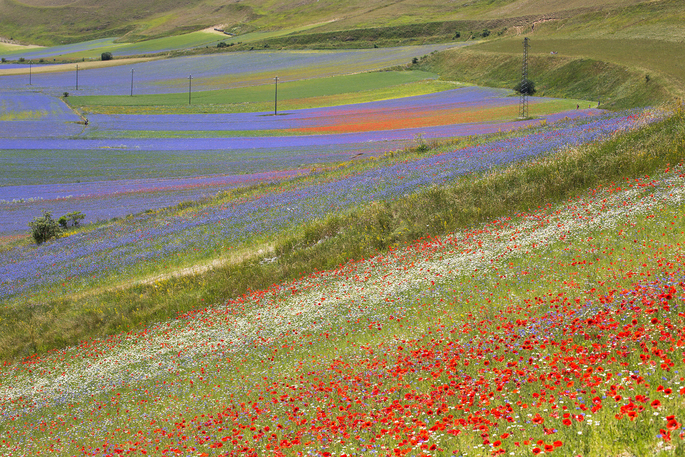 Castelluccio 9
