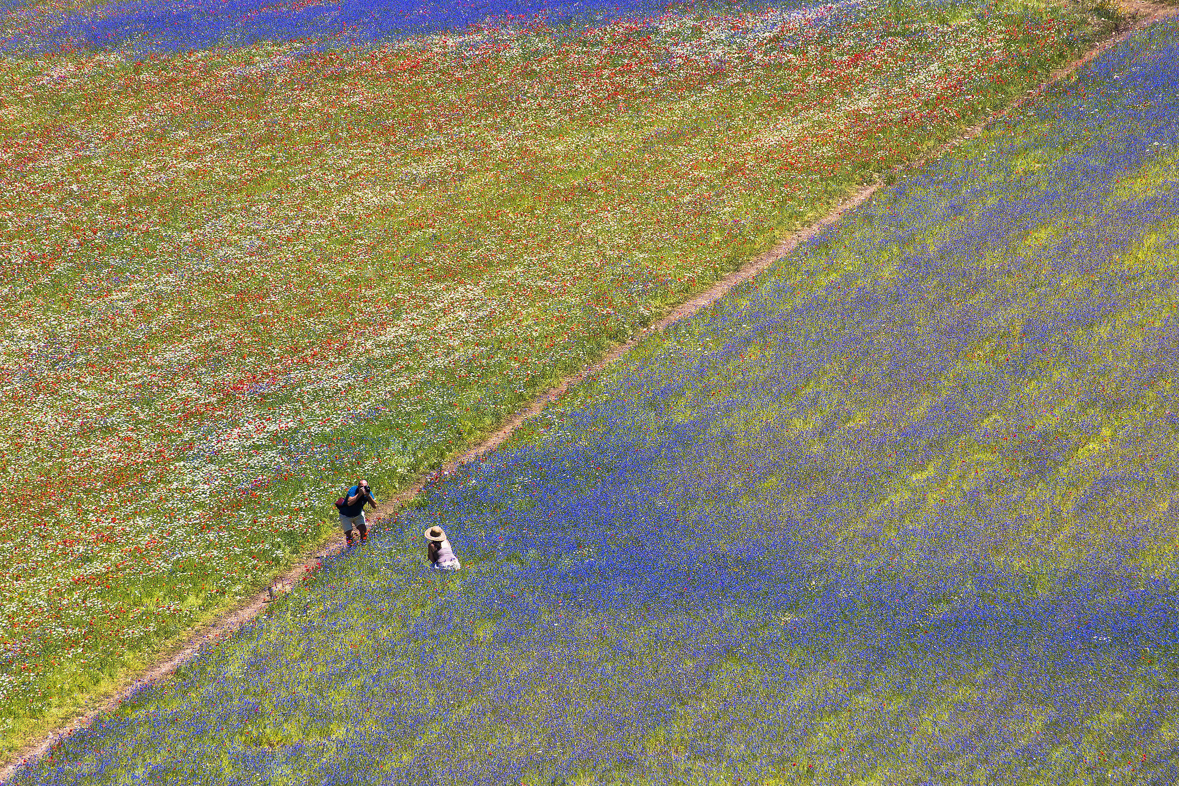 Castelluccio 11