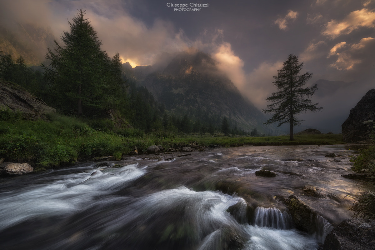 The light streams in