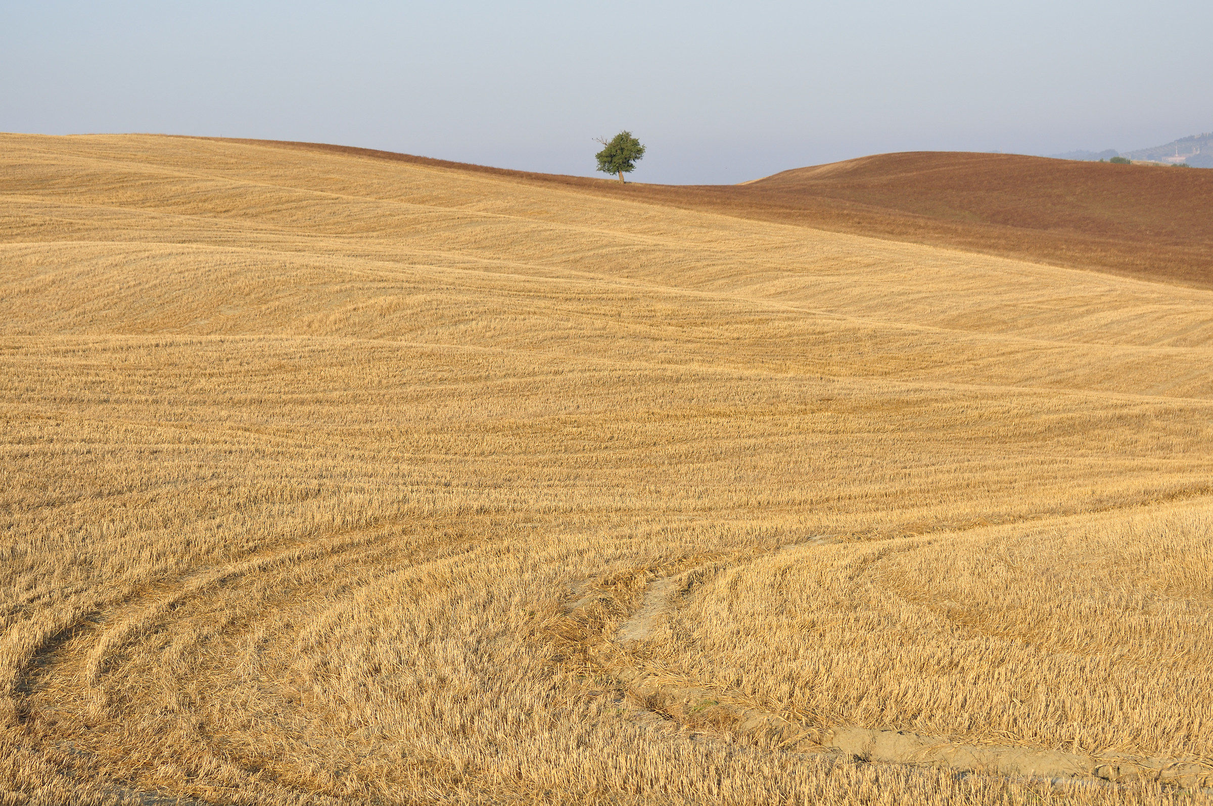 luglio in Val d'Orcia