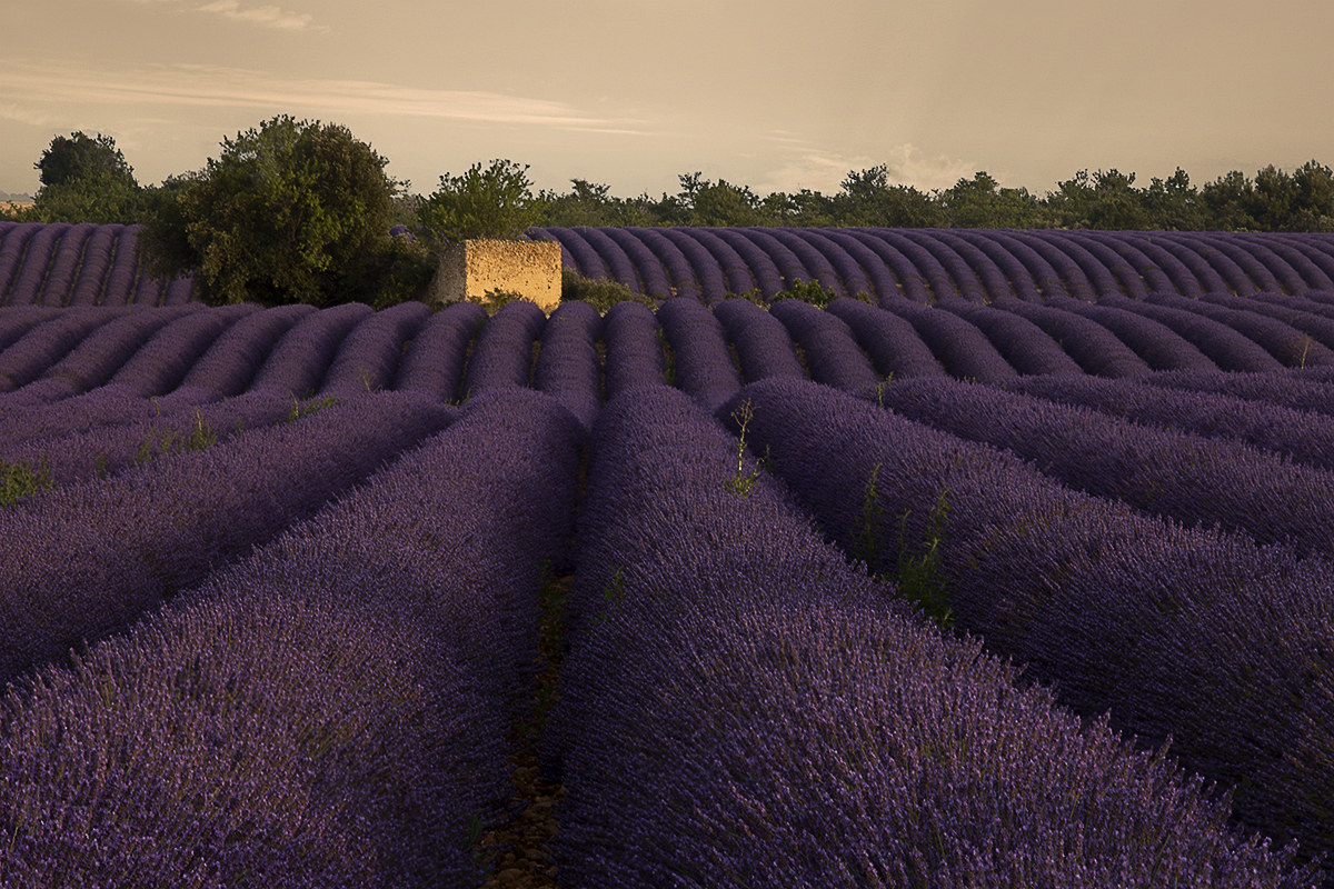 Provence