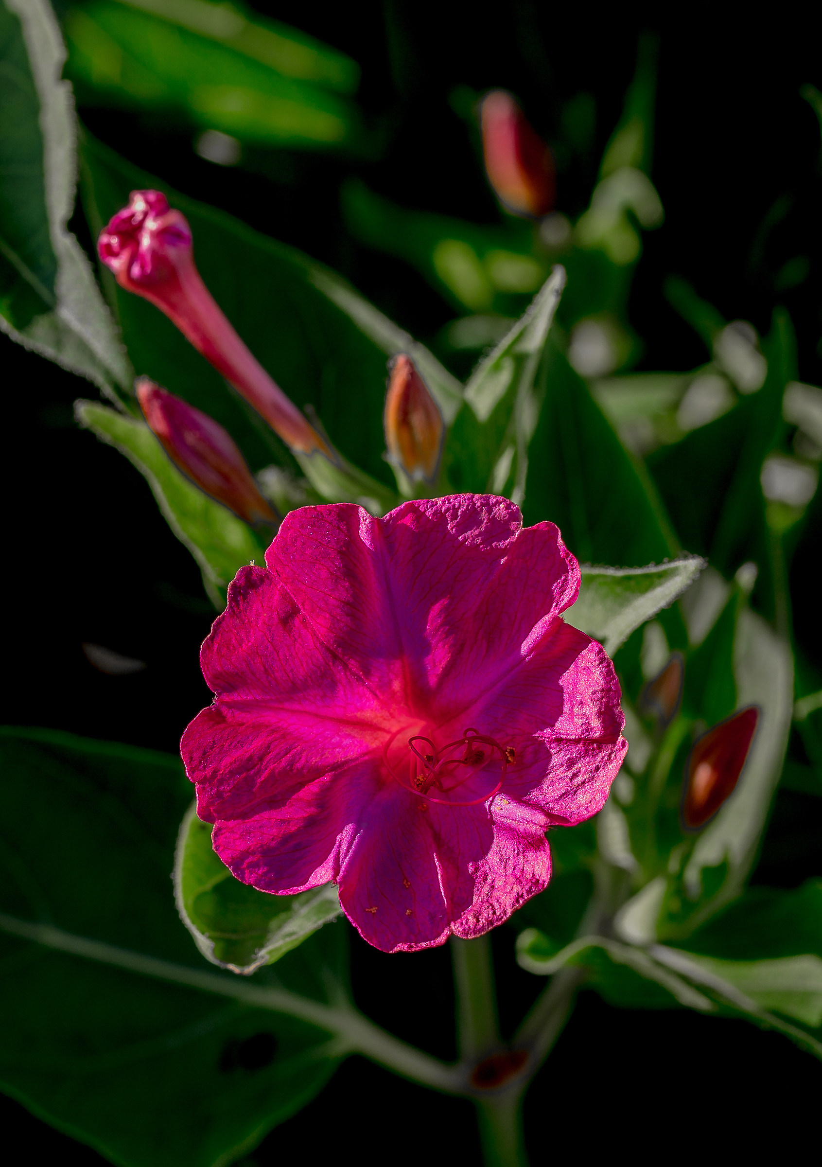 beautiful at night in the morning