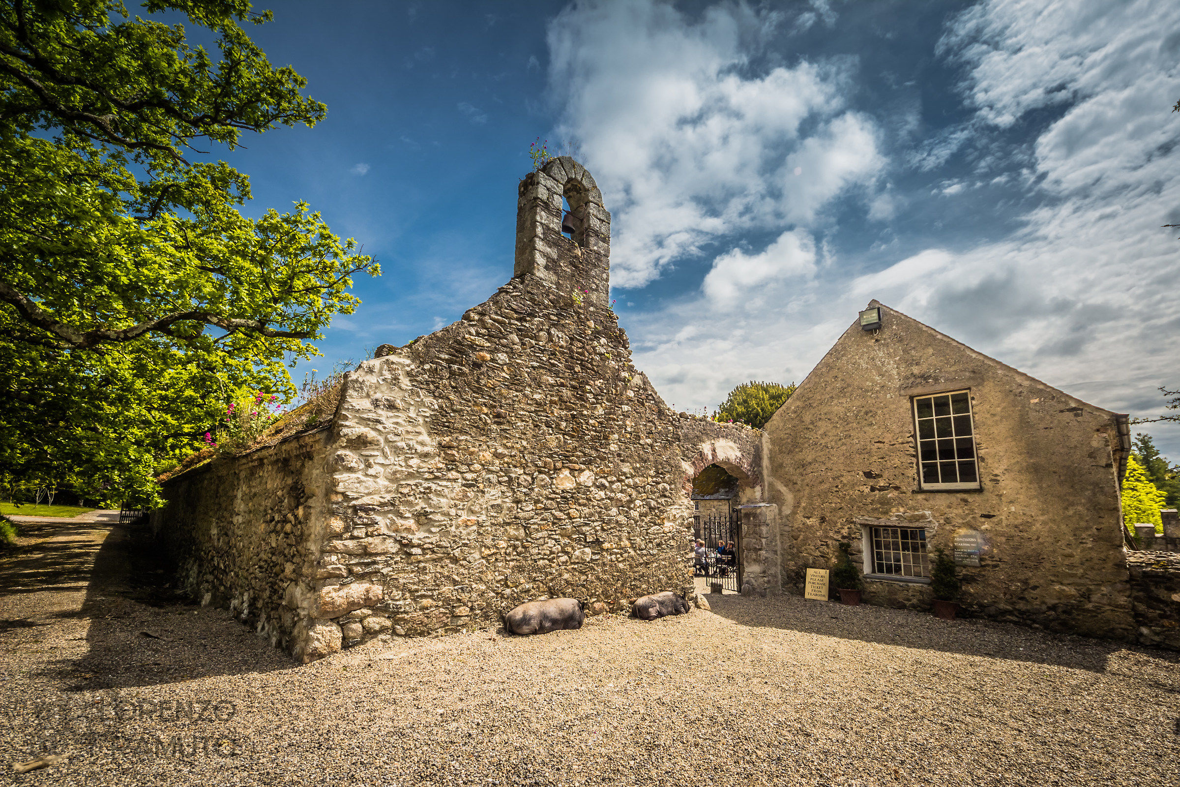 the guardians of Huntington castle