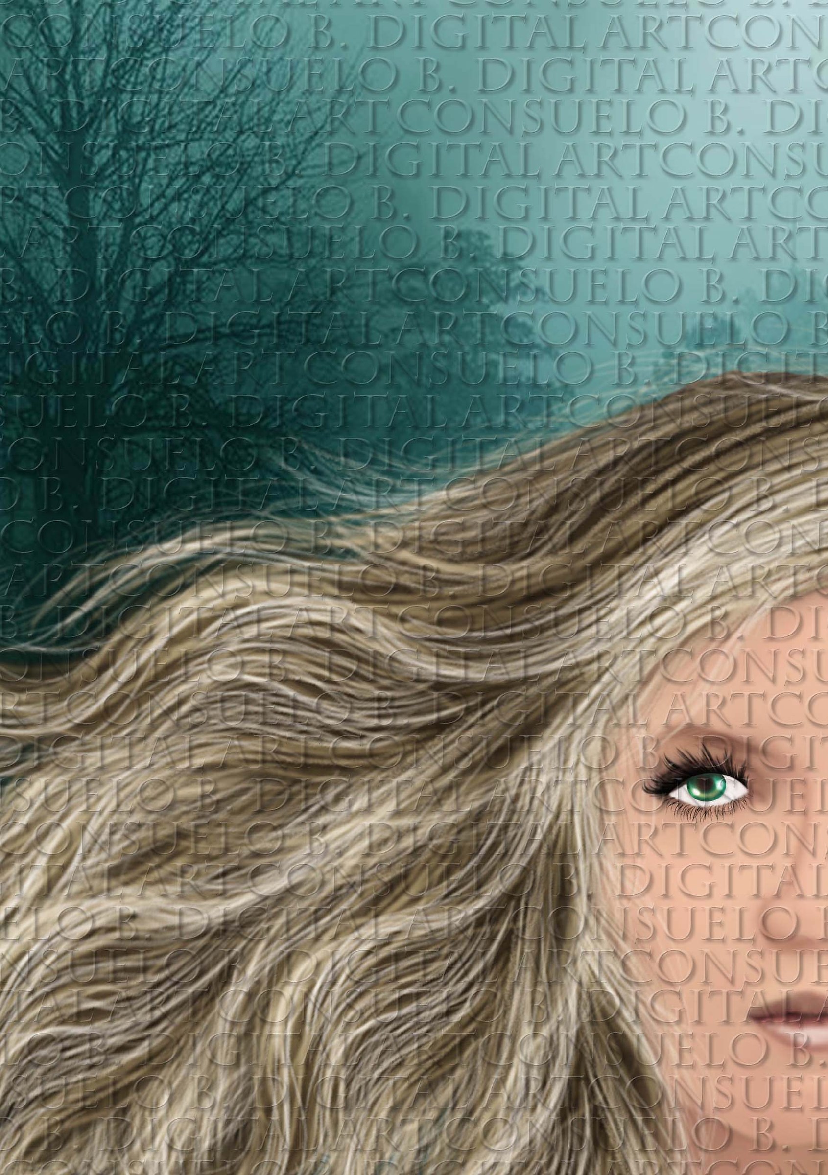 Illustrazione 1
