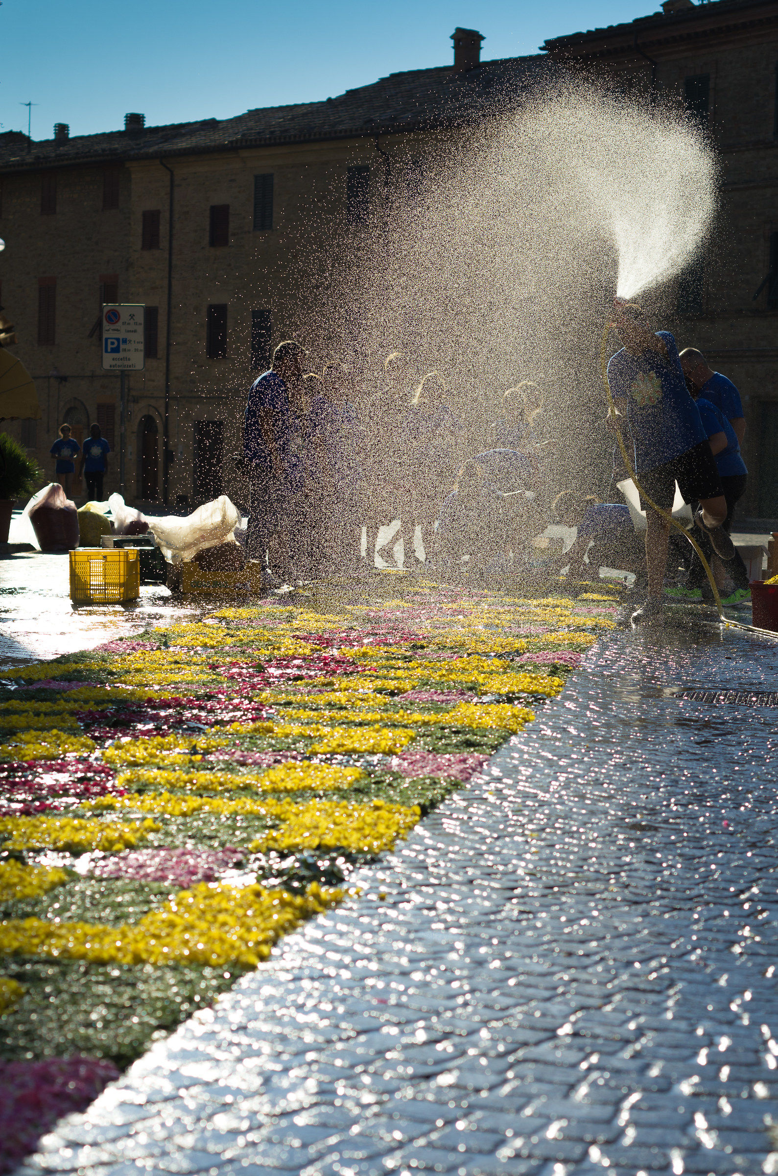 Infiorata Cupramontana 2015