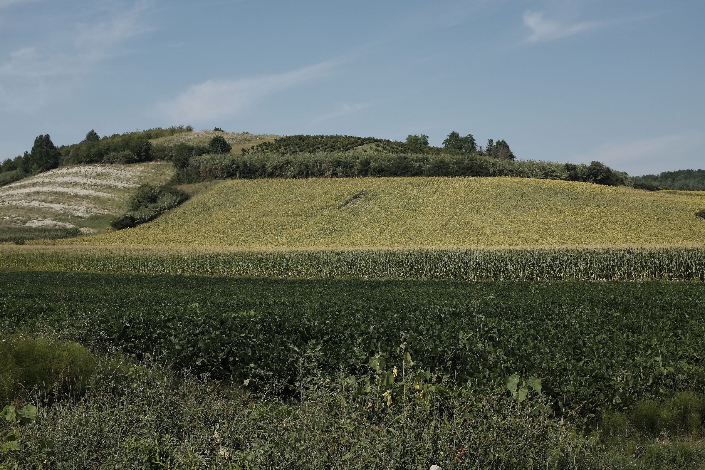 Monferrato