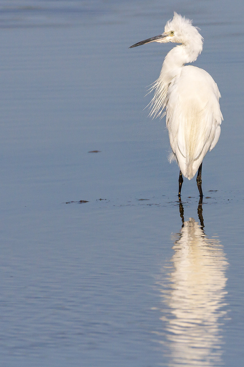 Che facciamo ? si va a letto ?