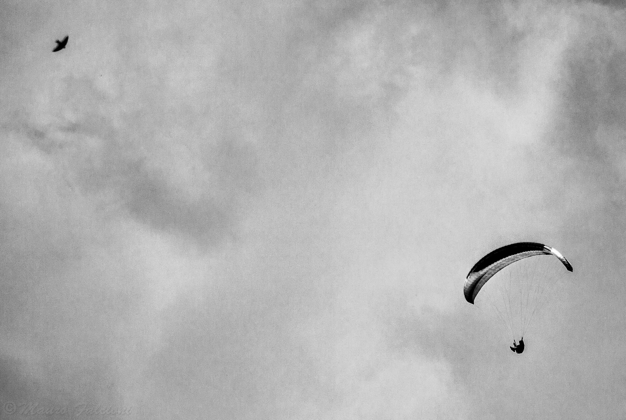 Chi per natura, chi per ingegno