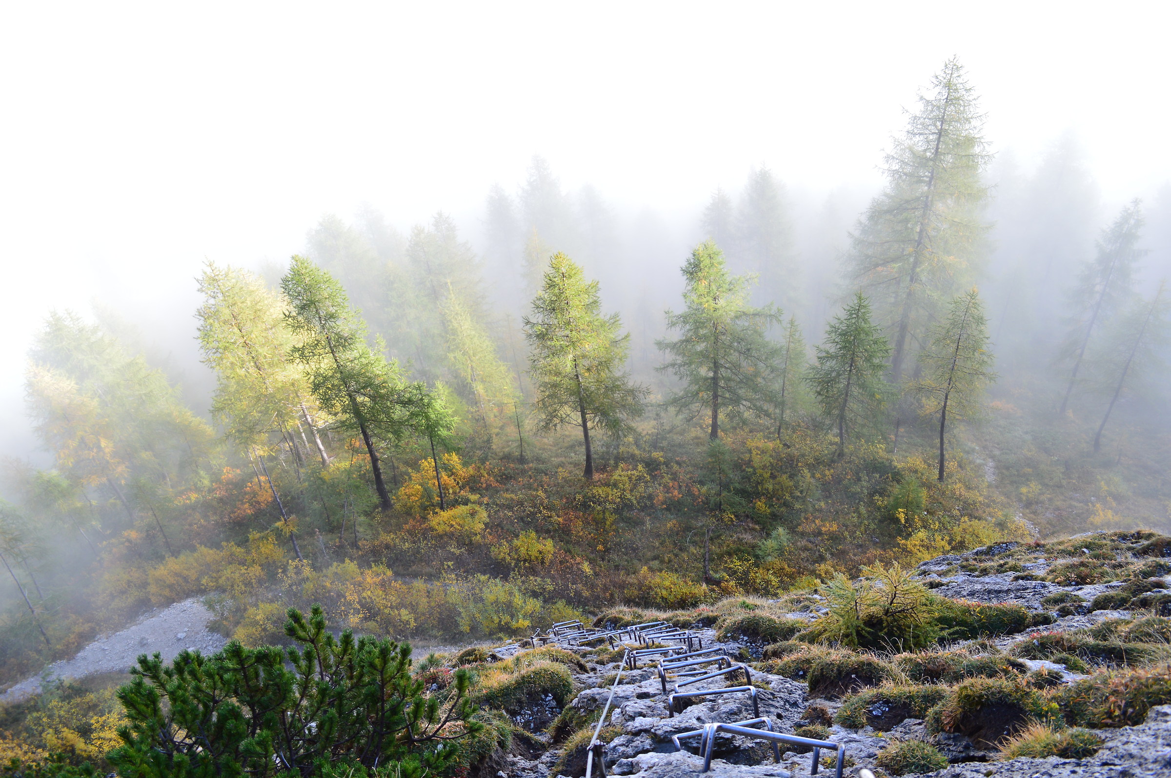 Brigade Tridentine Ferrata