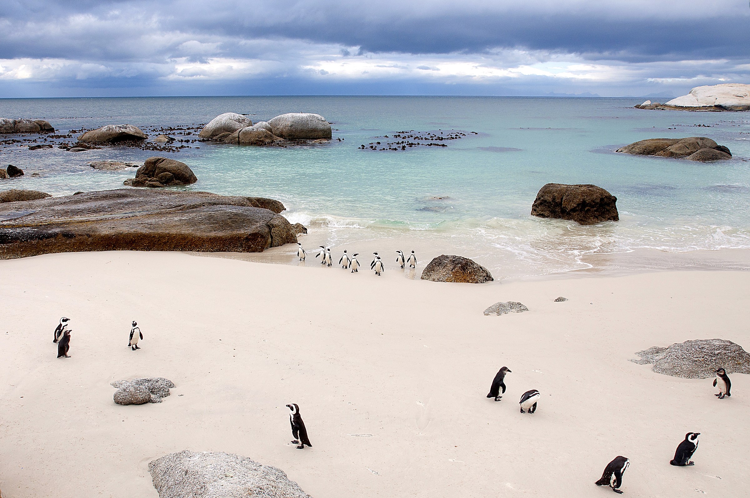 Boulders Beach