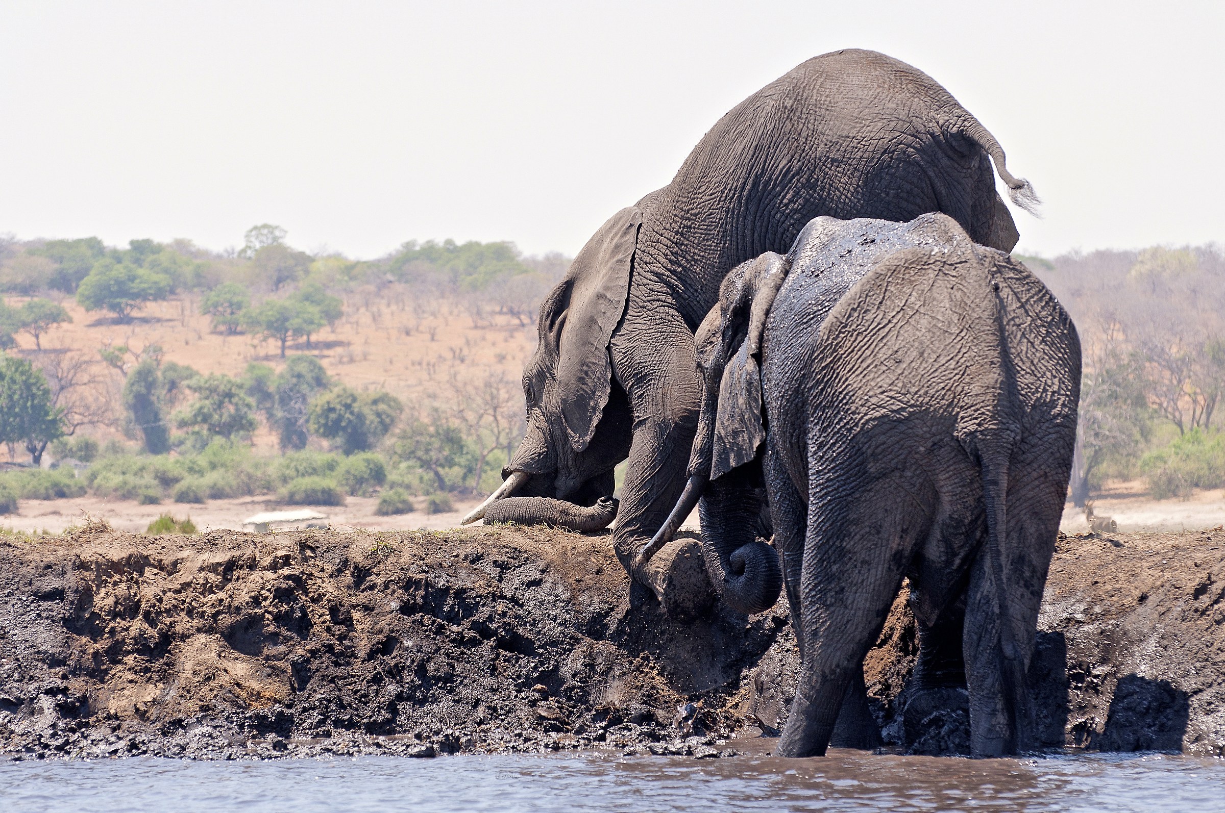 Dai che ce l'abbiamo quasi fatta!