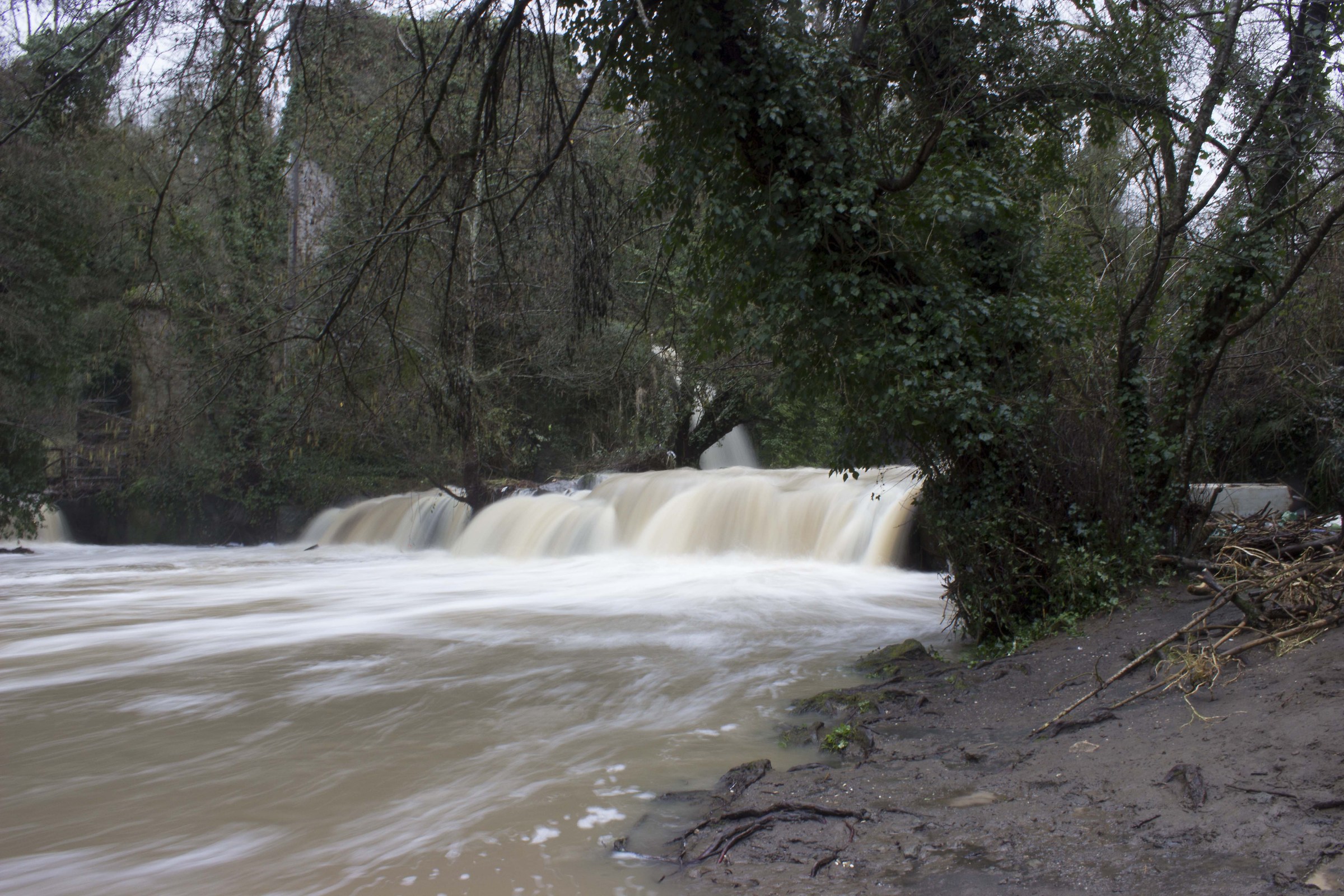 piena del treia febbr 2014
