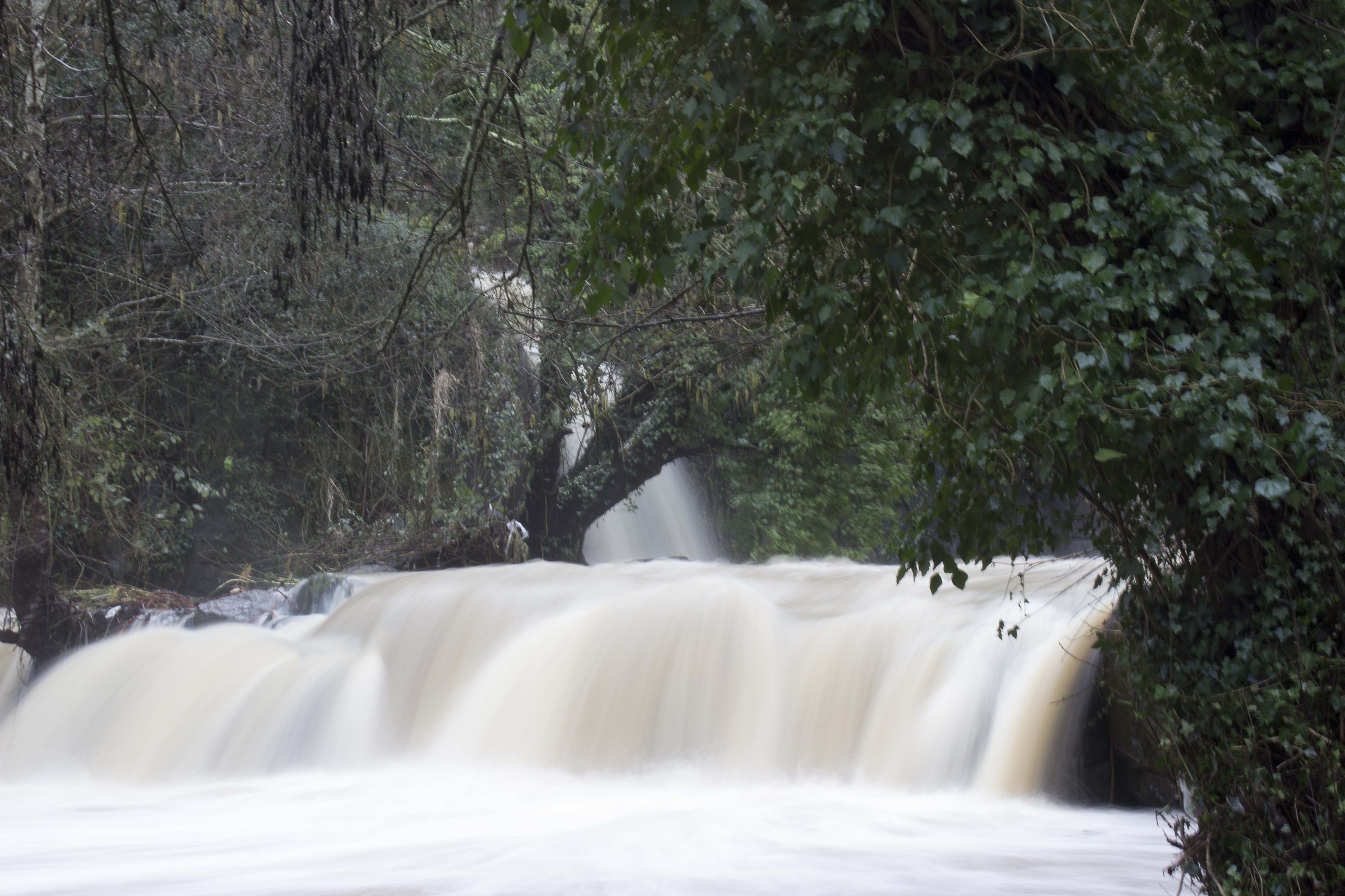 piena del treia febbr 2014