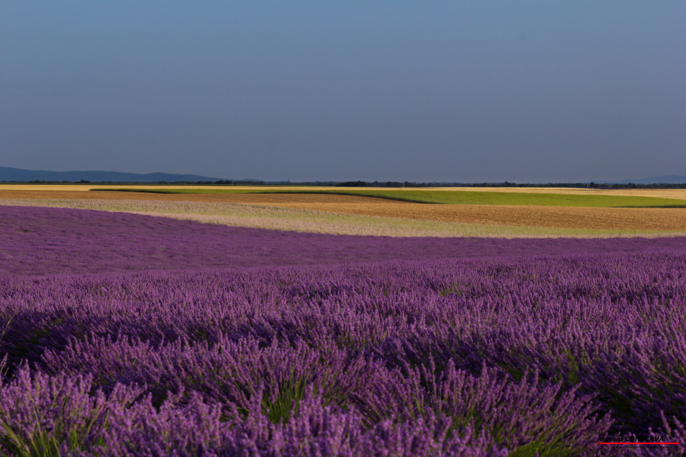 Una tavolozza di colori