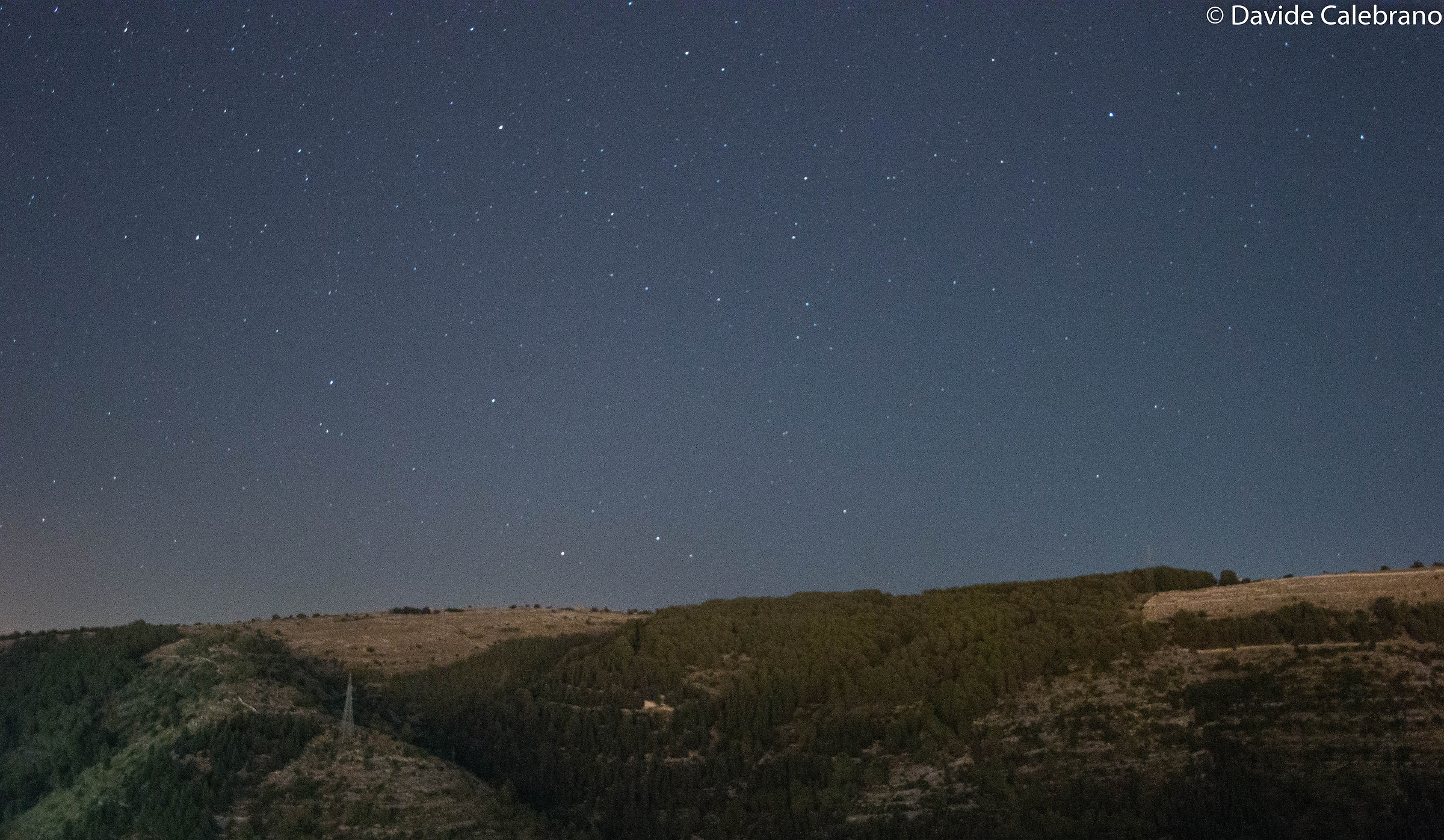 The descent of the trees in the valley