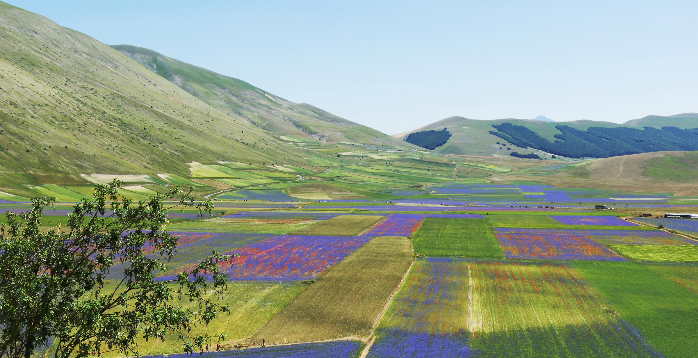 Castelluccio 2015