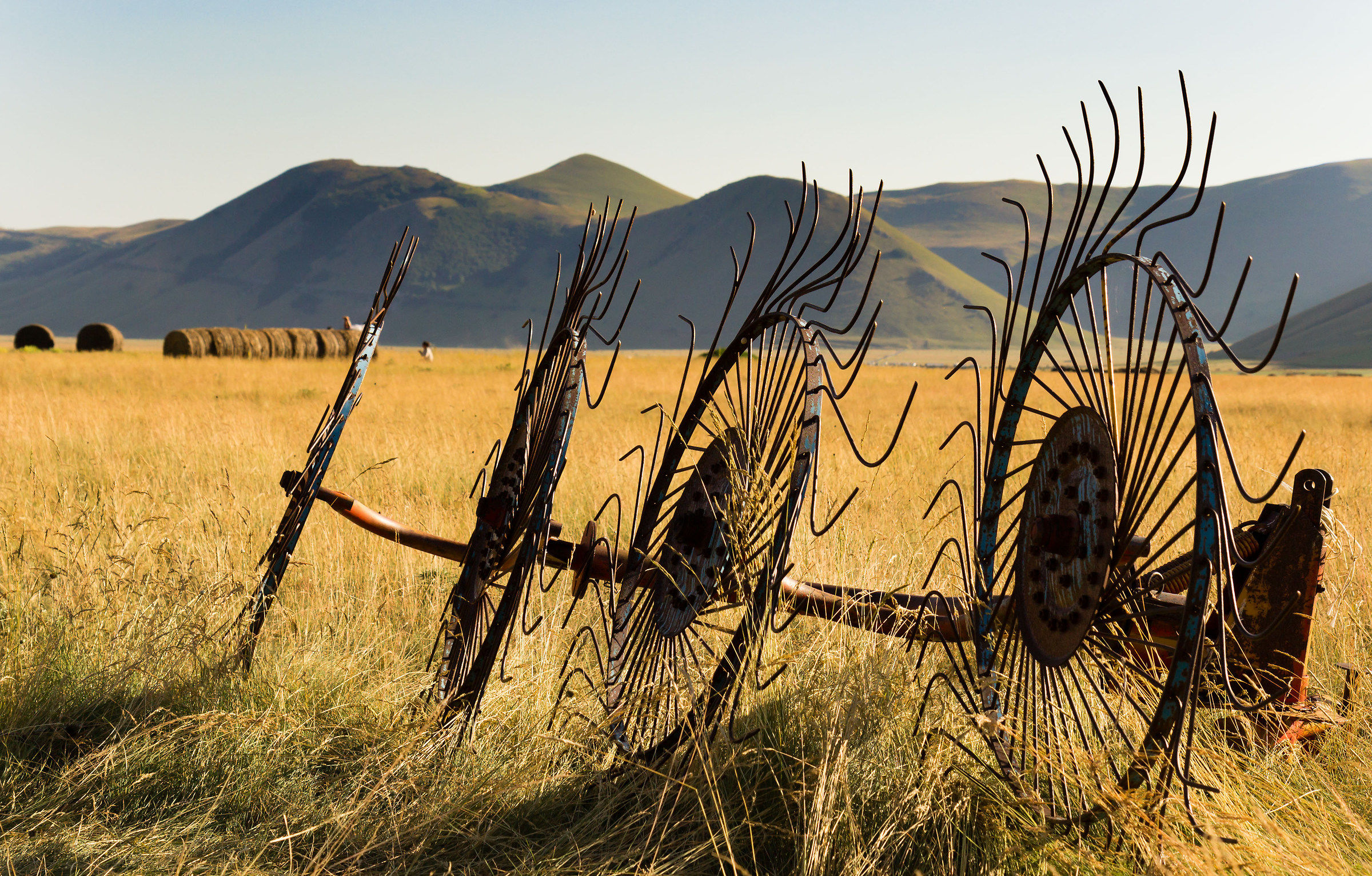 Castelluccio 2015