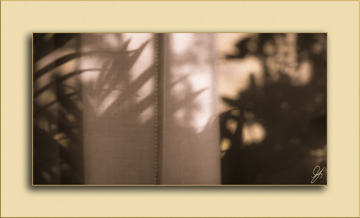 Halfway through the journey of our lives ...