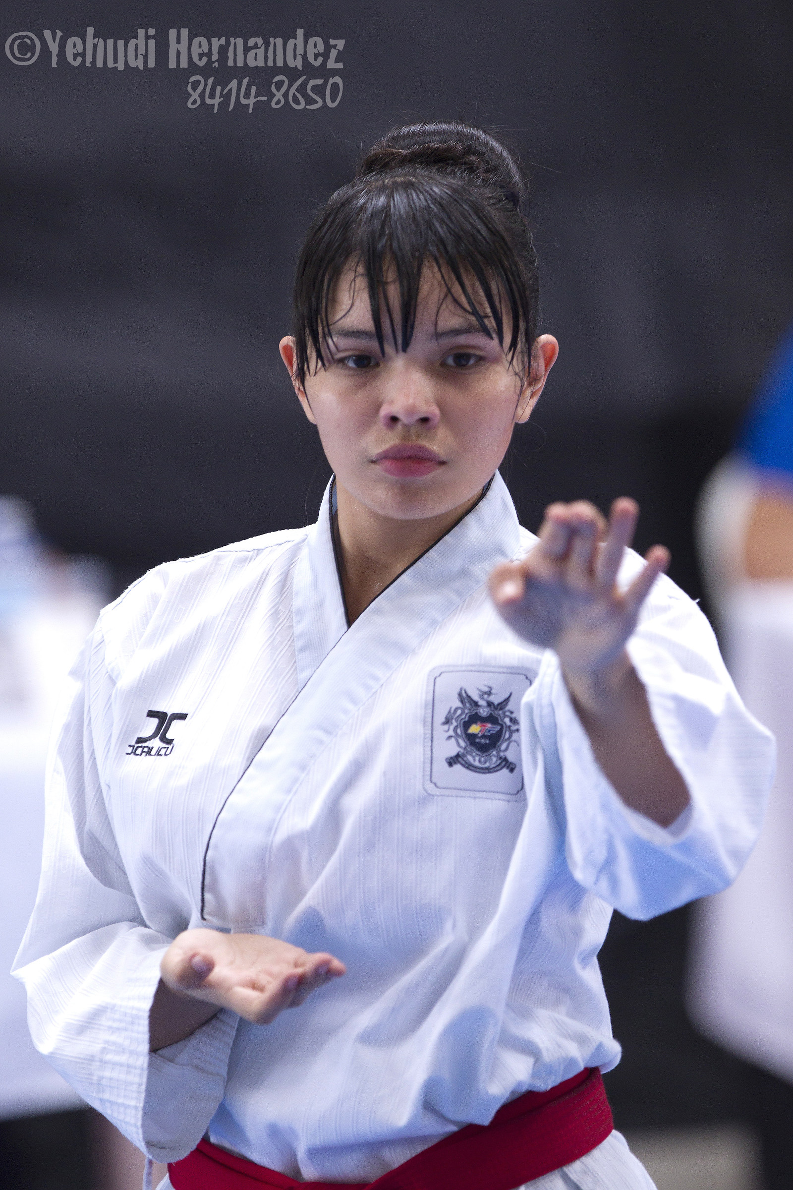 The beauty of Taekwondo